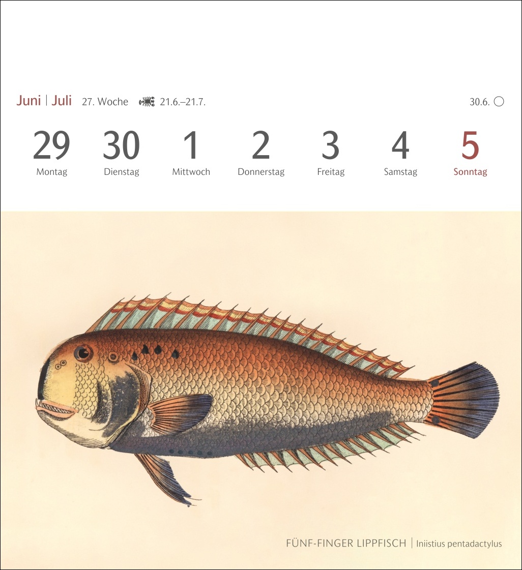 9783840037917_innenansicht_08 9783840037917_innenansicht_08.jpg