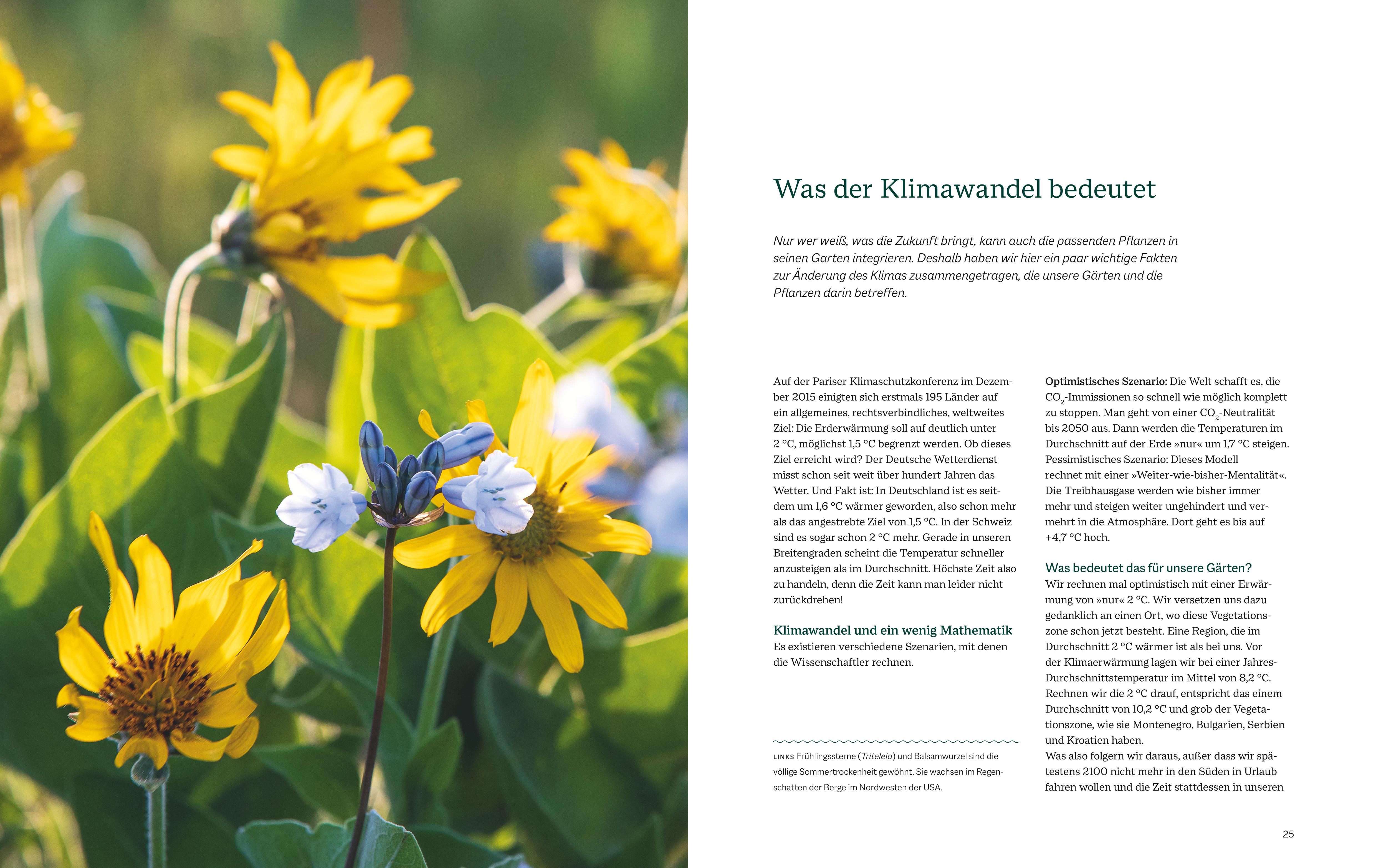 9783967470642_innenansicht_03.jpg
