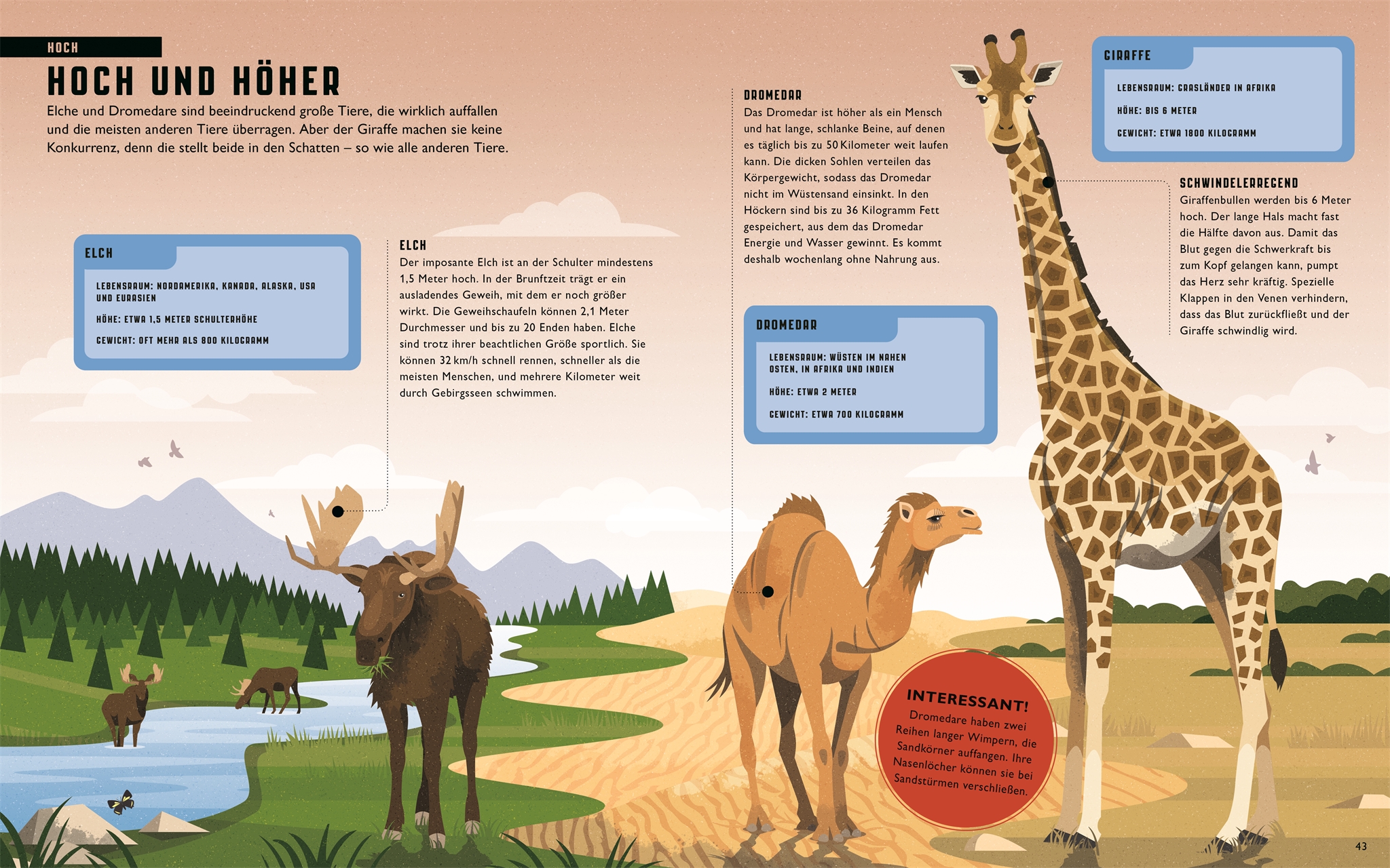 9783831046171_innenansicht_05 9783831046171_innenansicht_05.jpg