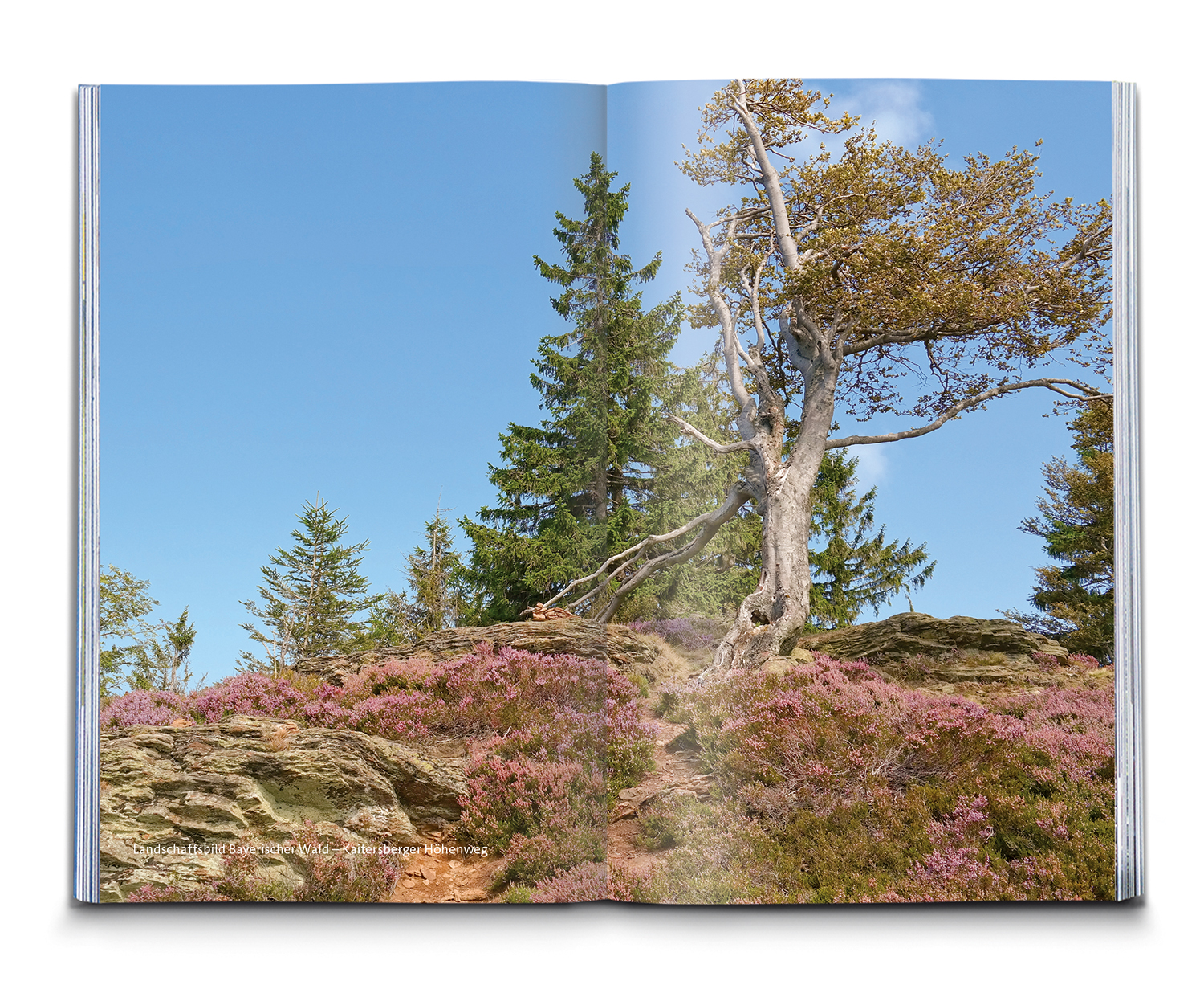 9783991218302_innenansicht_05 9783991218302_innenansicht_05.jpg