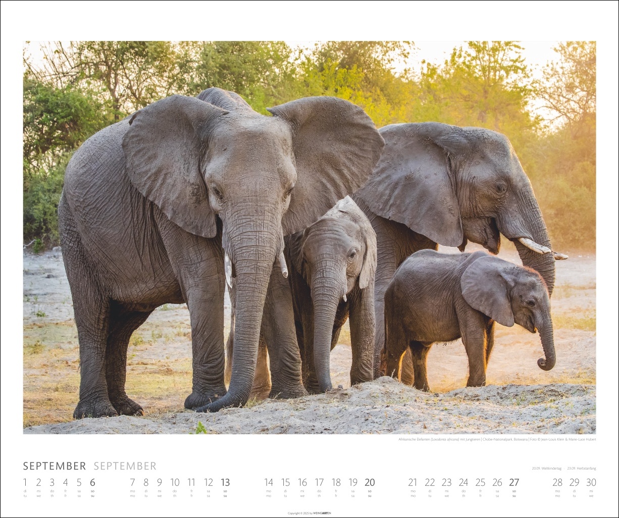 9783839901908_innenansicht_09 9783839901908_innenansicht_09.jpg