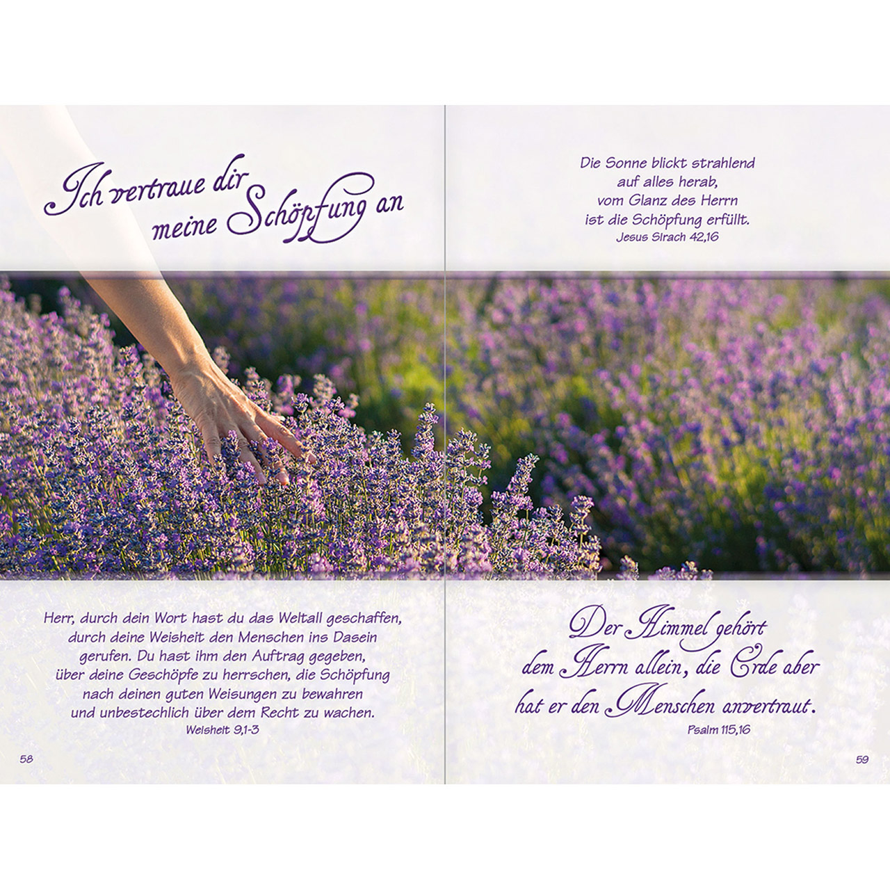 9783863381943_innenansicht_11 9783863381943_innenansicht_11.jpg