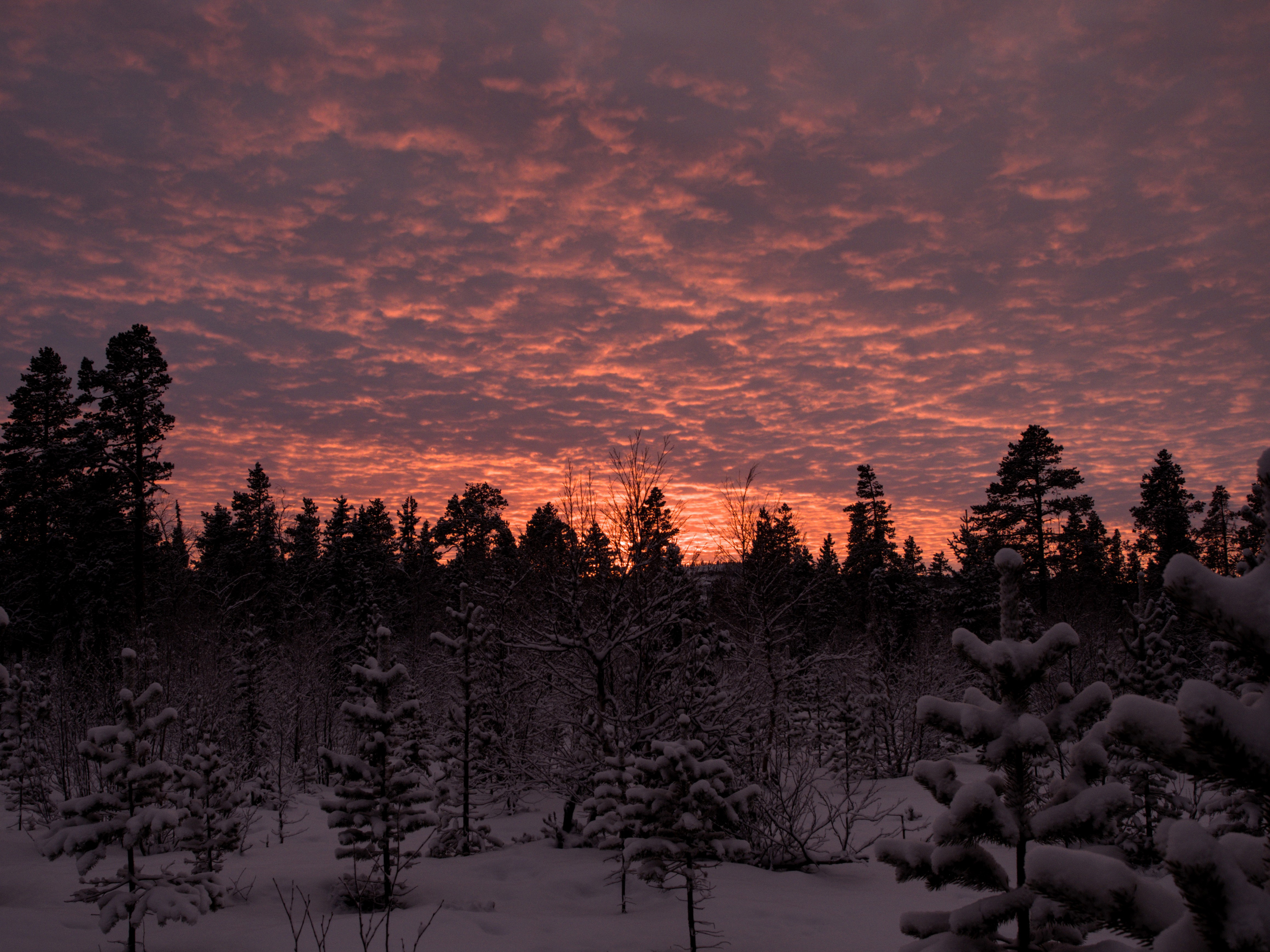 9783959619394_innenansicht_11 9783959619394_innenansicht_11.jpg