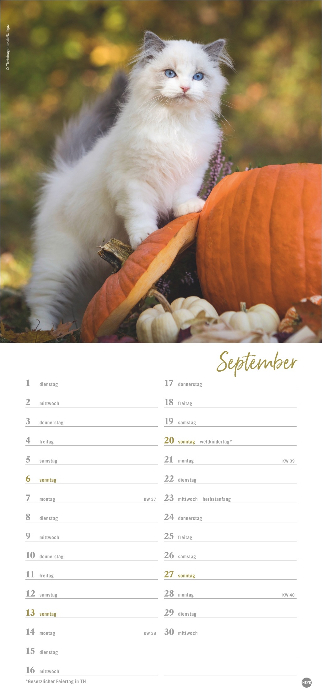 9783756409778_innenansicht_09 9783756409778_innenansicht_09.jpg