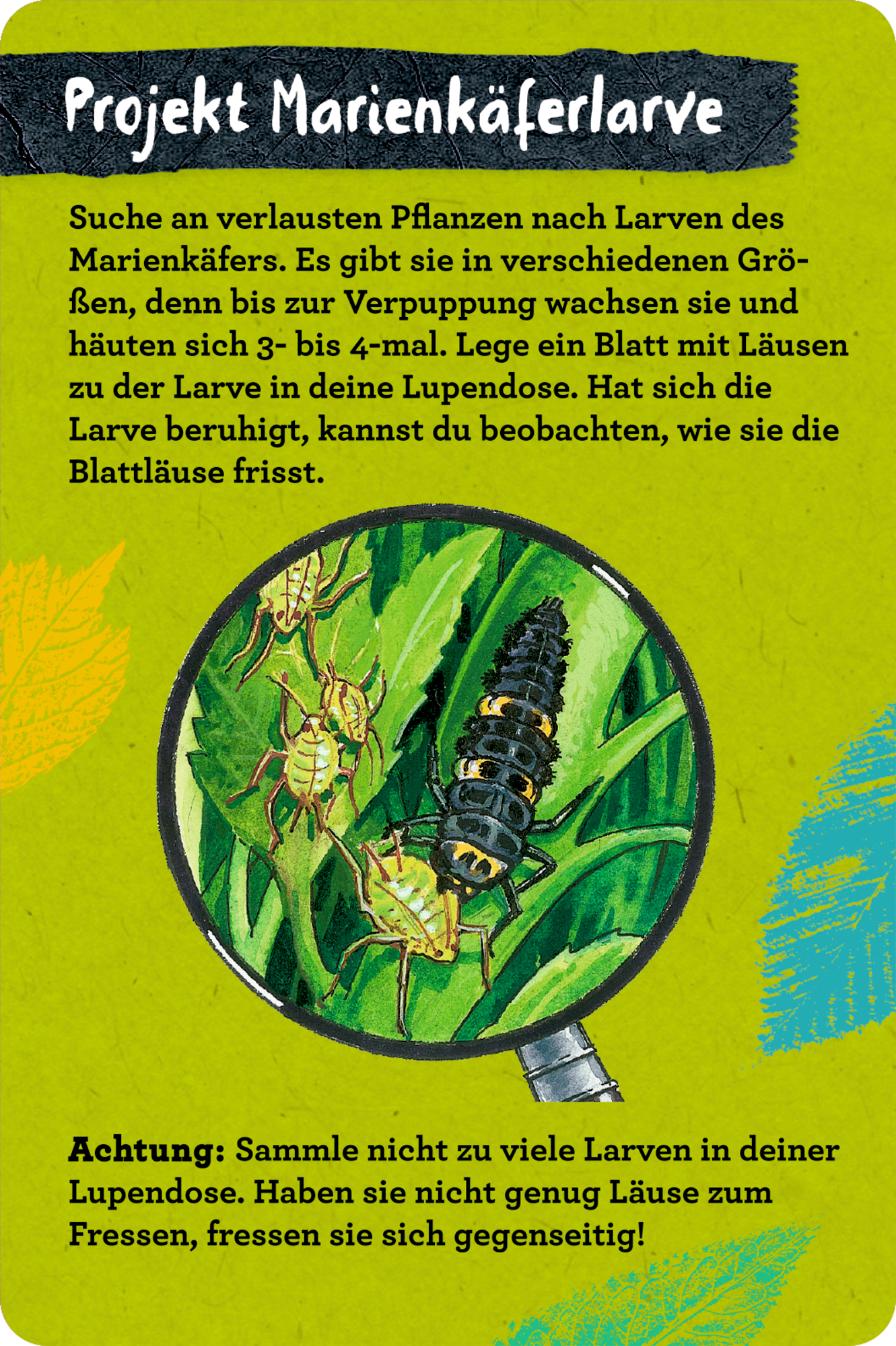 9783649647300_innenansicht_04 9783649647300_innenansicht_04.jpg