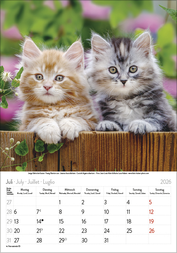 9783731883609_innenansicht_07 9783731883609_innenansicht_07.jpg