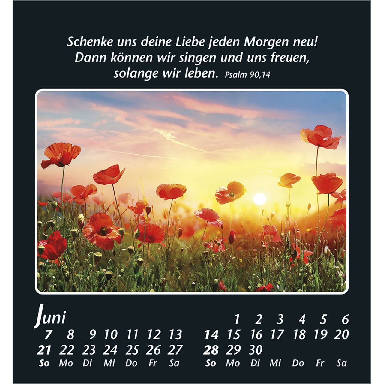 9783754880067_innenansicht_06.jpg