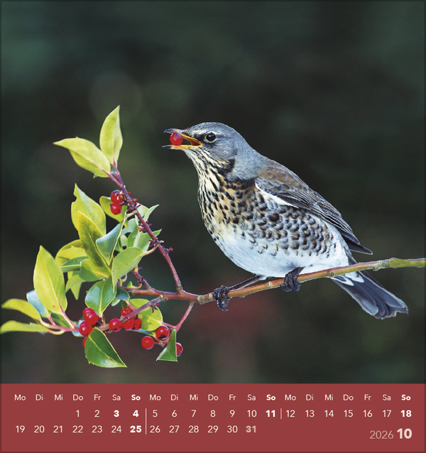 9783731890225_innenansicht_10 9783731890225_innenansicht_10.jpg