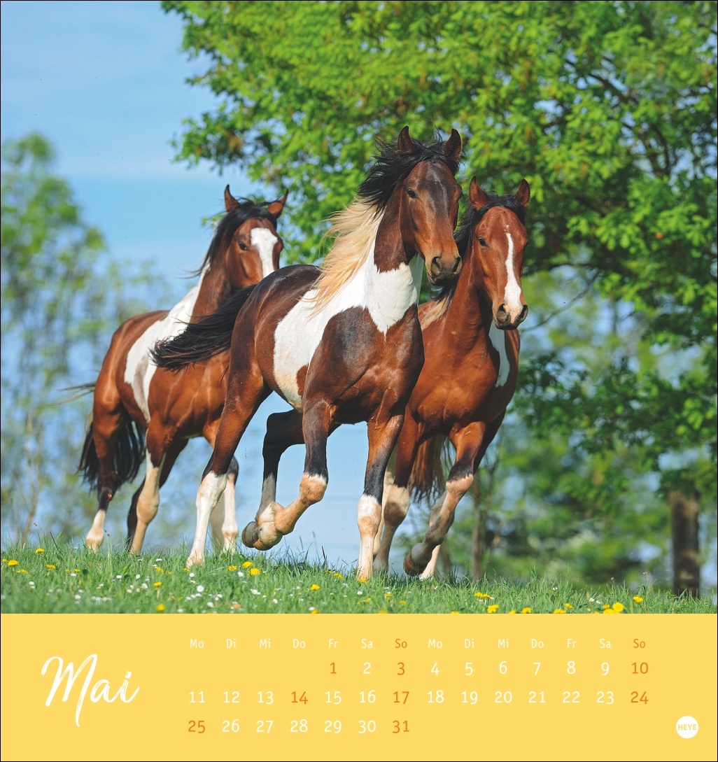 9783756410477_innenansicht_05 9783756410477_innenansicht_05.jpg