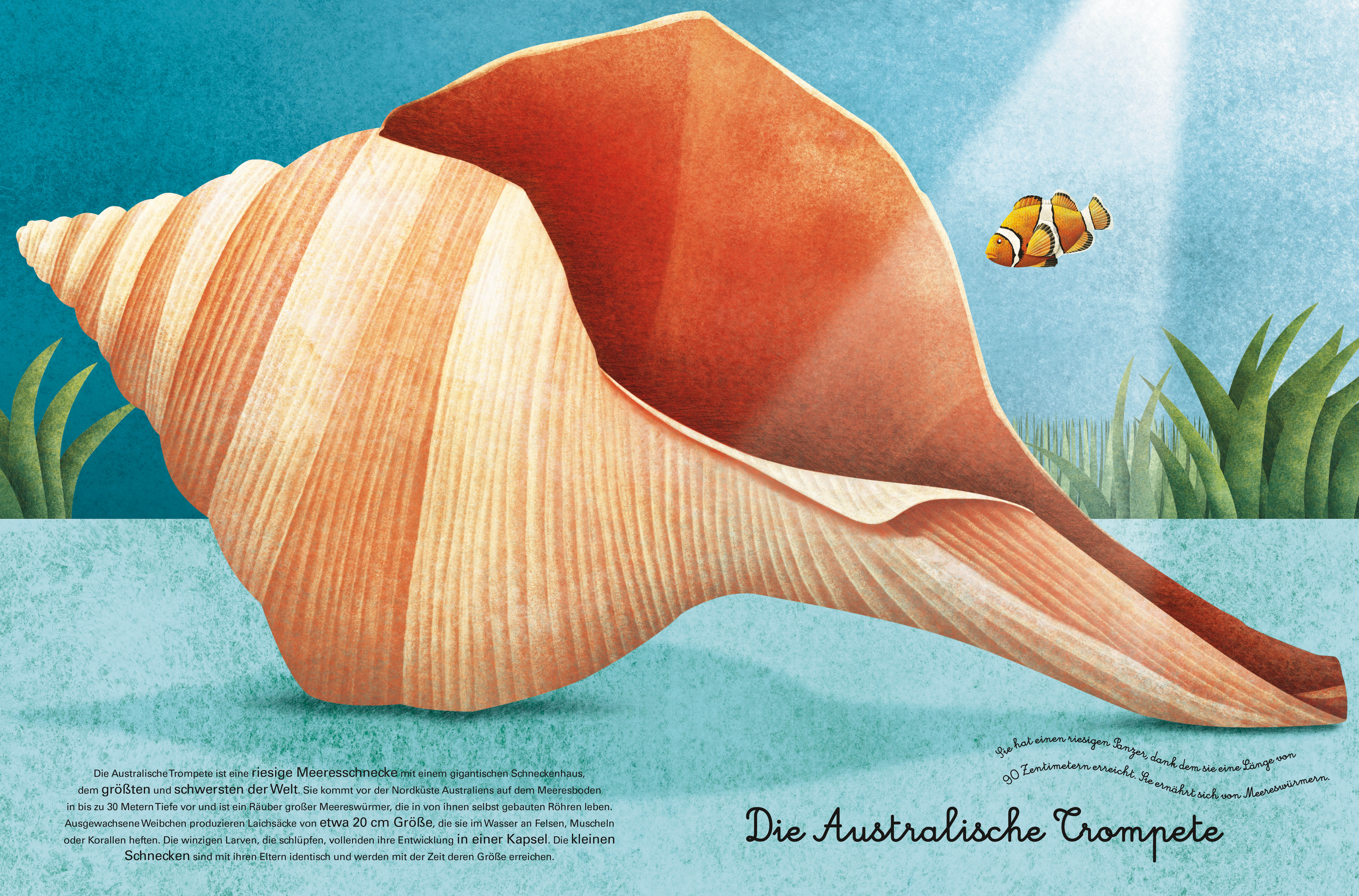 9788863125818_innenansicht_04 9788863125818_innenansicht_04.jpg