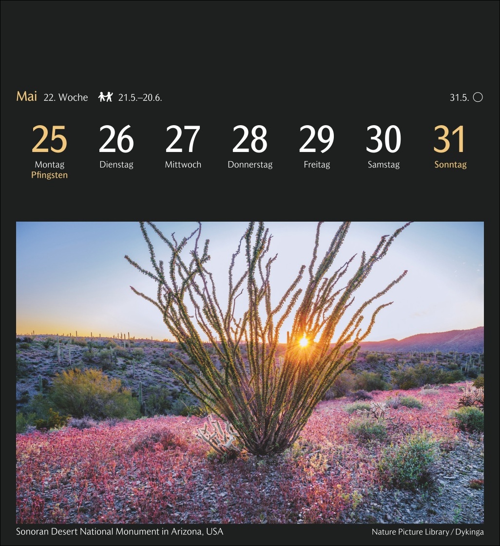 9783840036767_innenansicht_03 9783840036767_innenansicht_03.jpg