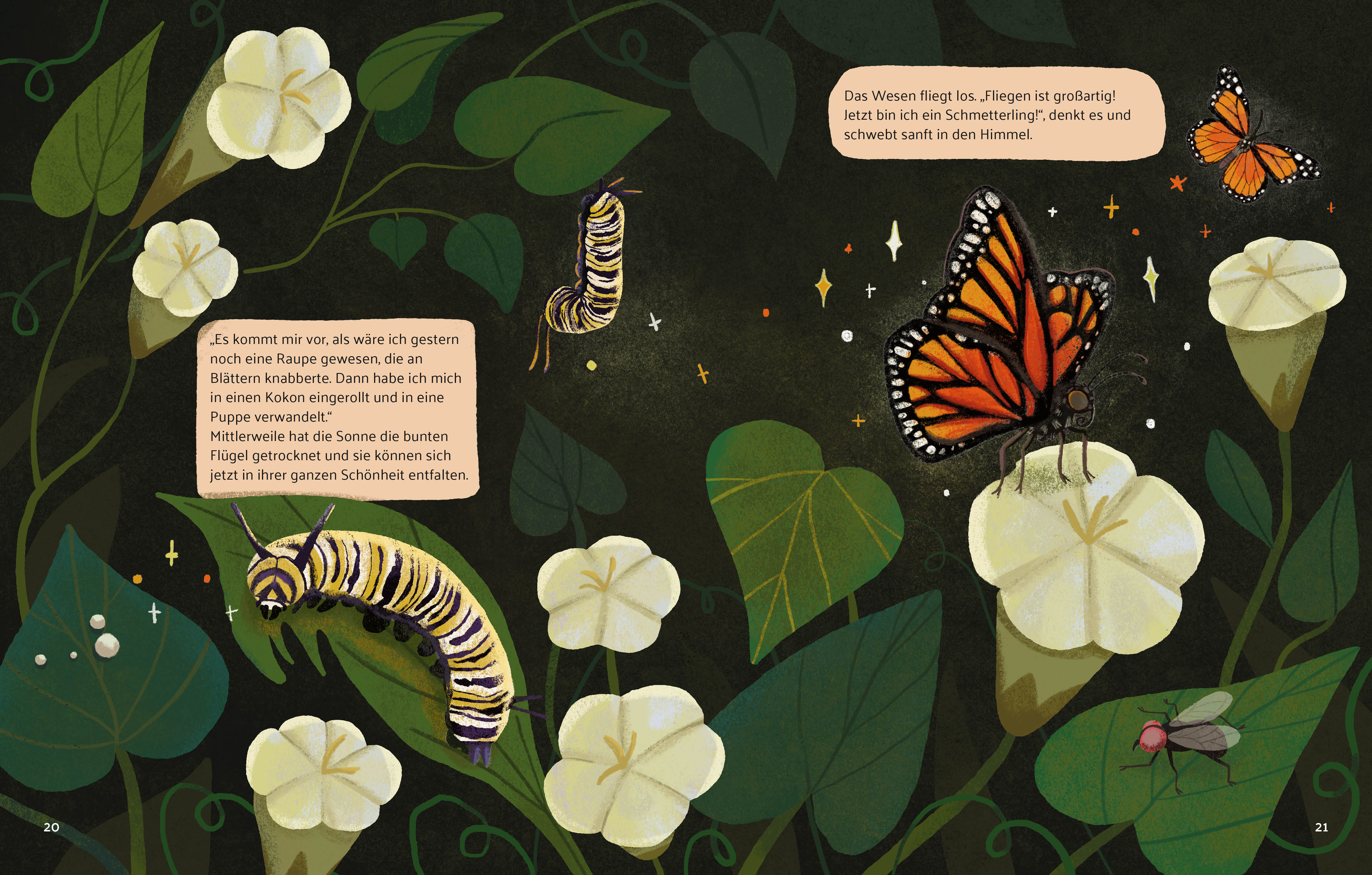 9788863127102_innenansicht_10 9788863127102_innenansicht_10.jpg