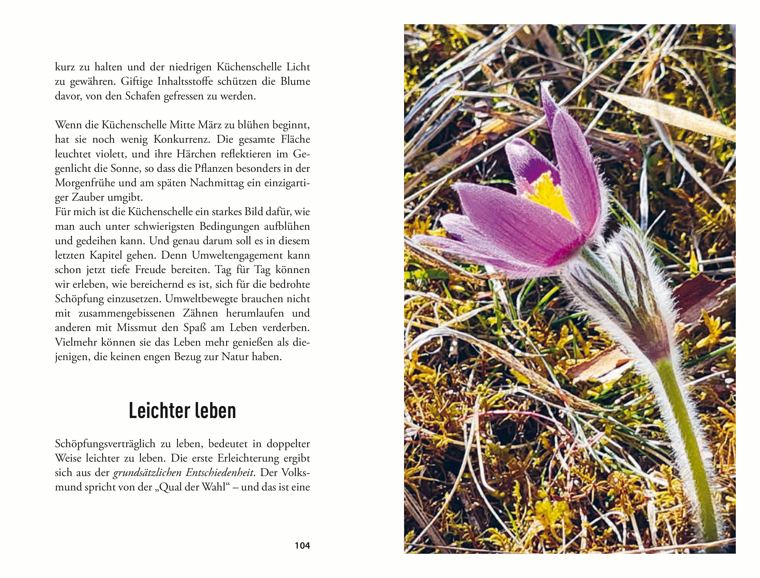 9783702511661_innenansicht_06 9783702511661_innenansicht_06.jpg