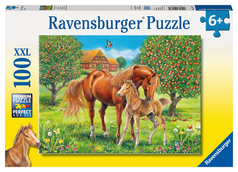 4005556105779 4005556105779