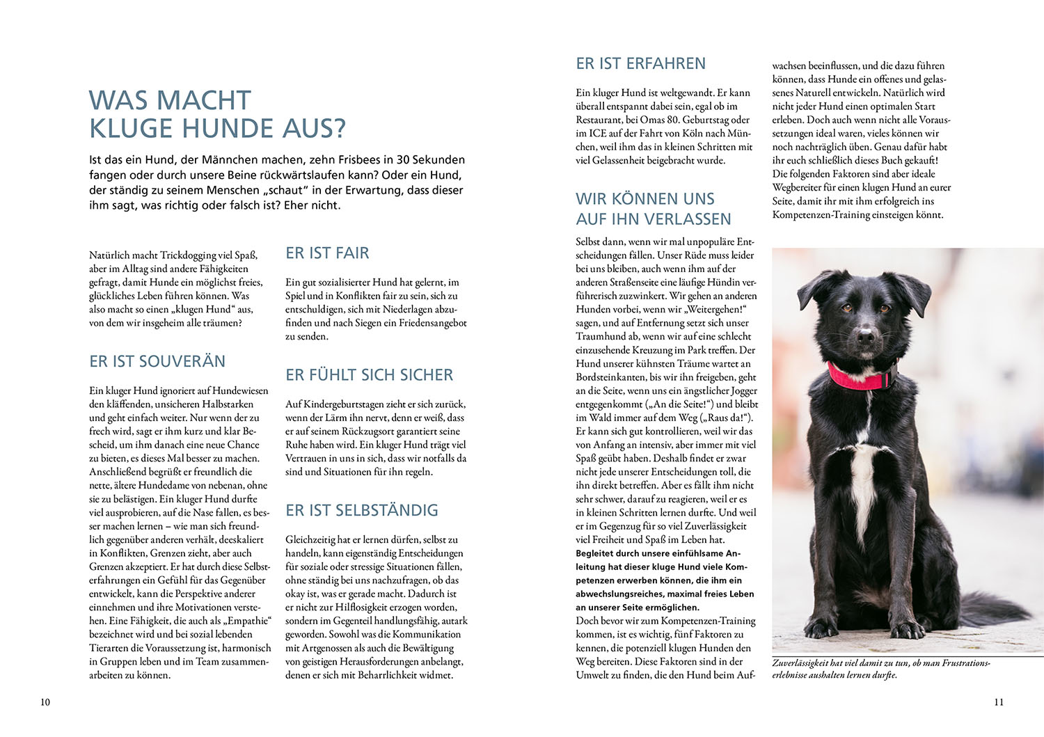 9783440175132_innenansicht_01.jpg