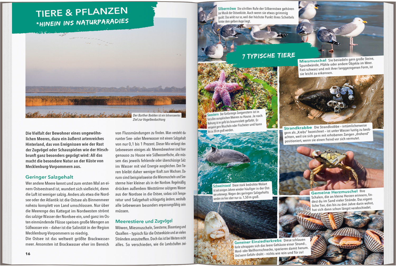 9783575021007_innenansicht_02 9783575021007_innenansicht_02.jpg