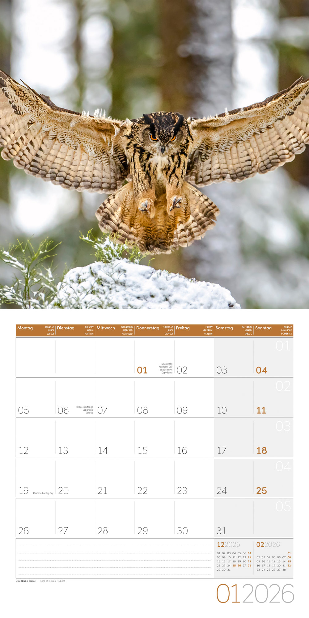 9783838446240_innenansicht_01 9783838446240_innenansicht_01.jpg