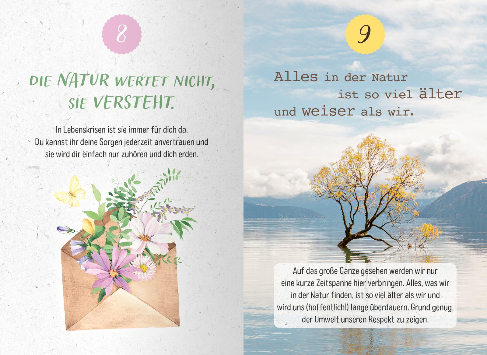 9783845857732_innenansicht_01.jpg