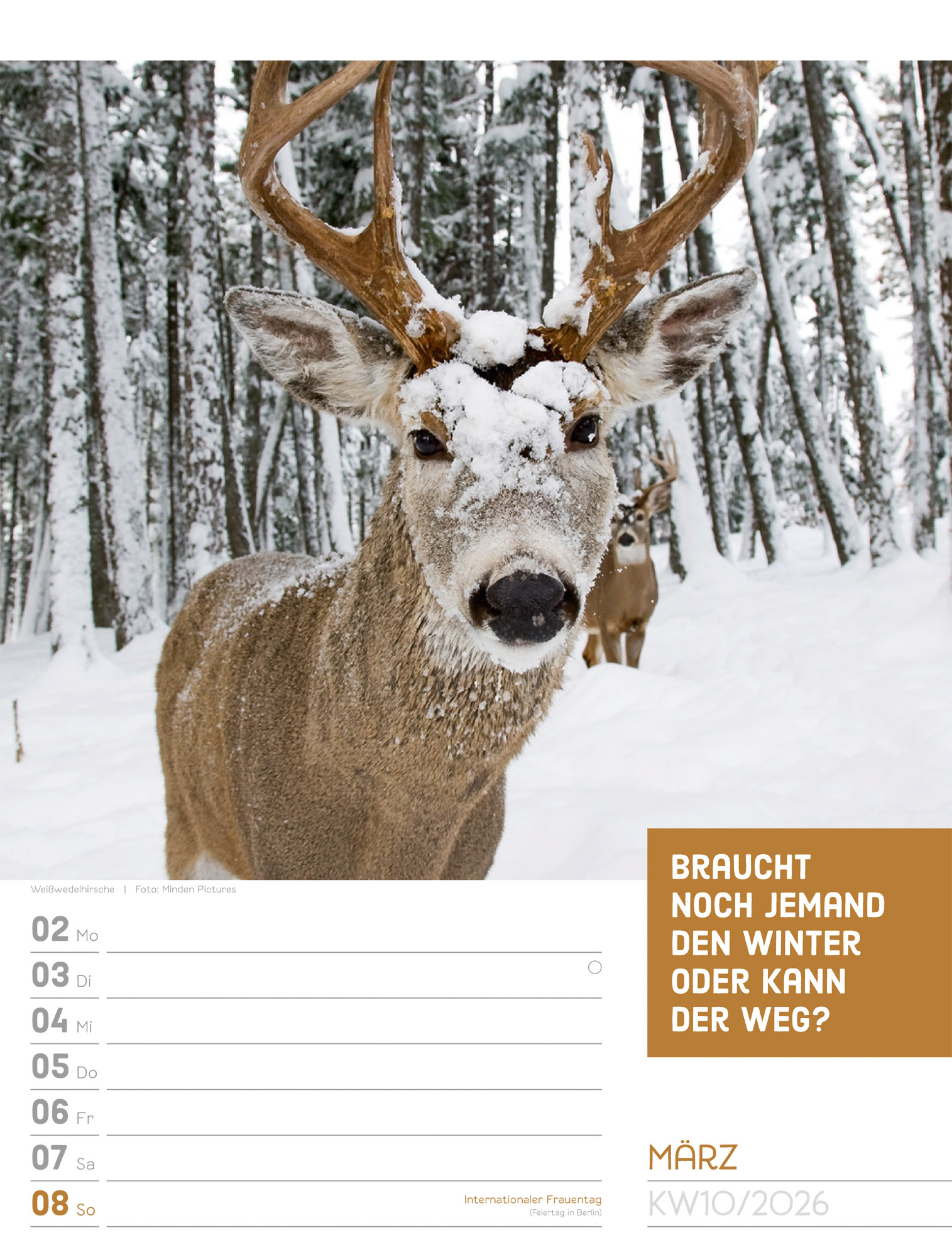 9783838426969_innenansicht_13 9783838426969_innenansicht_13.jpg