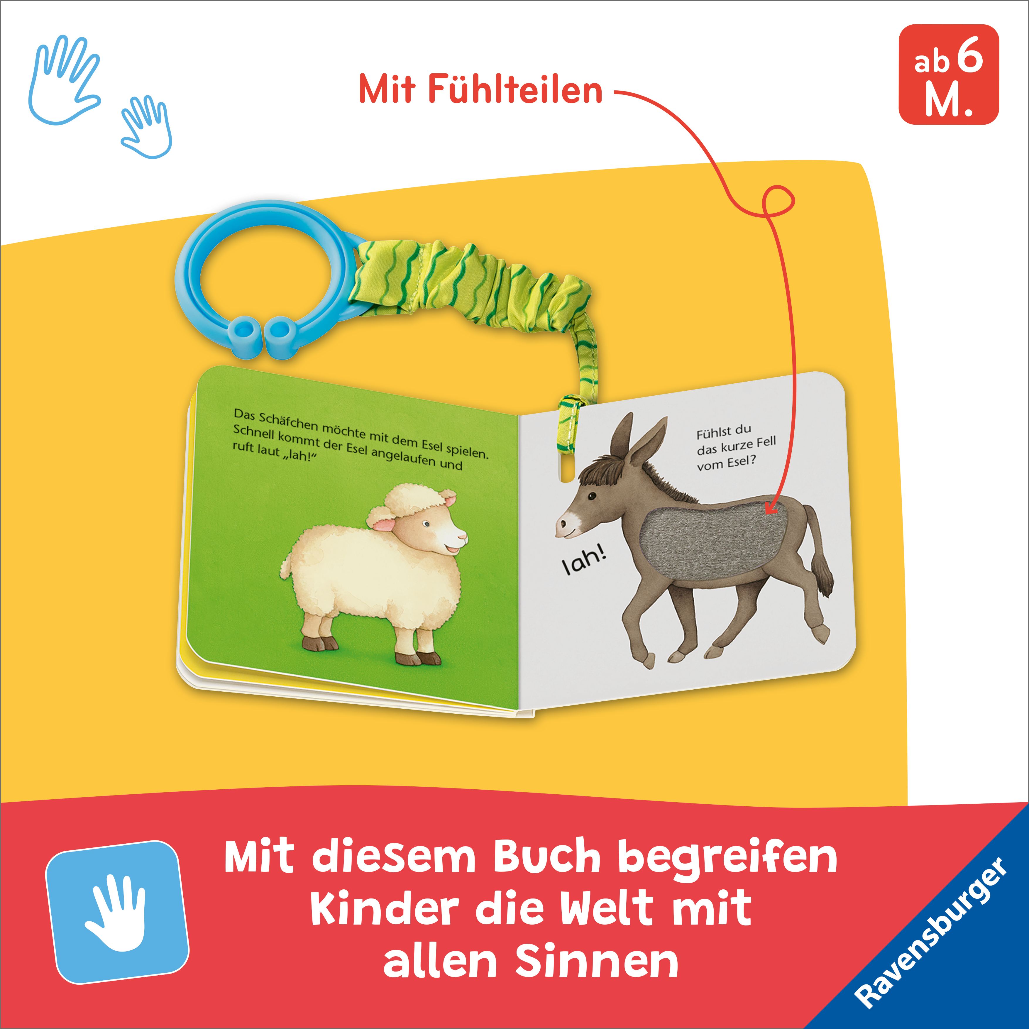 9783473421695_innenansicht_05.jpg