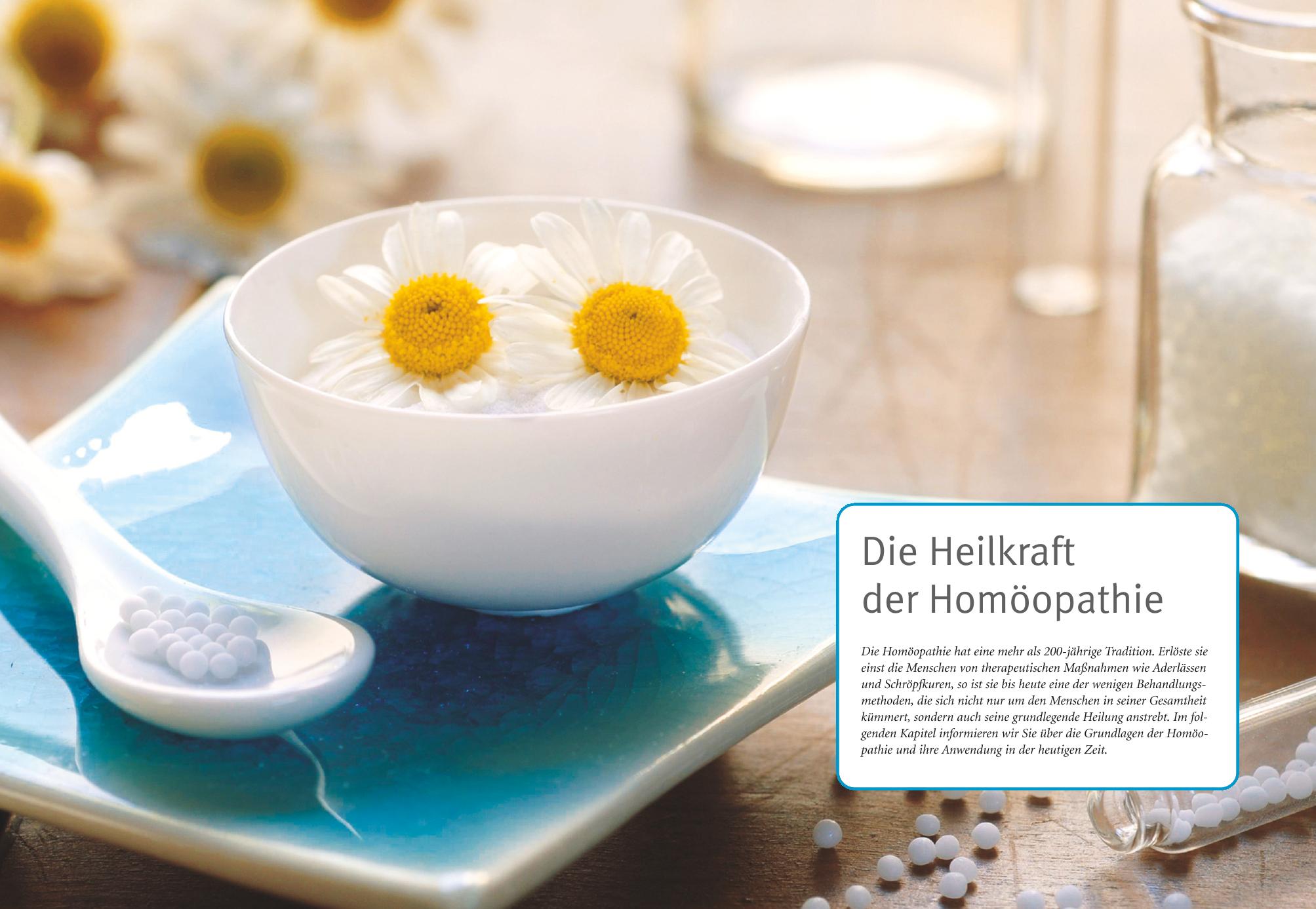 9783833800344_innenansicht_02 9783833800344_innenansicht_02.jpg