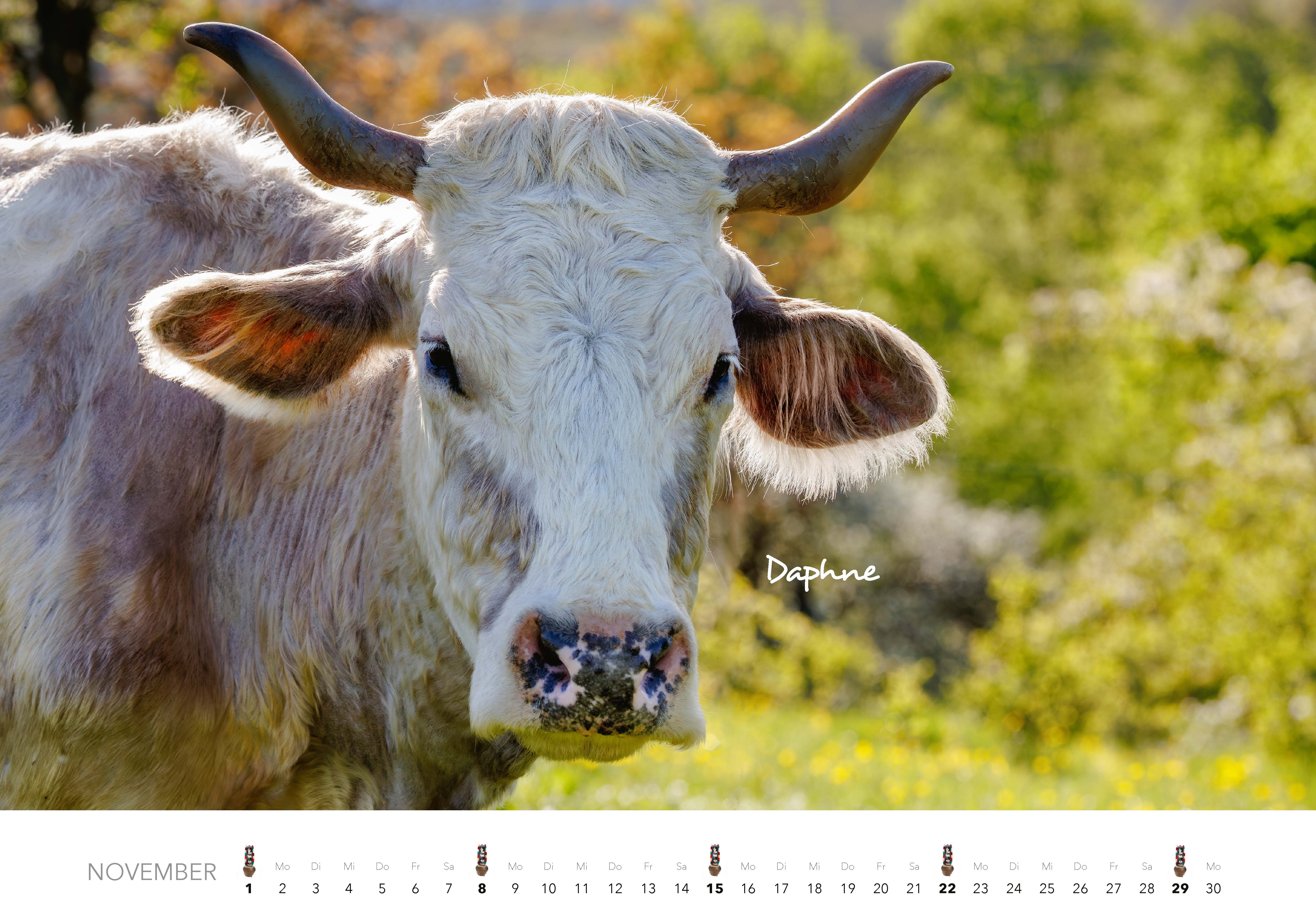 9783966649582_innenansicht_11 9783966649582_innenansicht_11.jpg