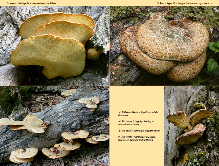 9783934947450_innenansicht_04 9783934947450_innenansicht_04.jpg