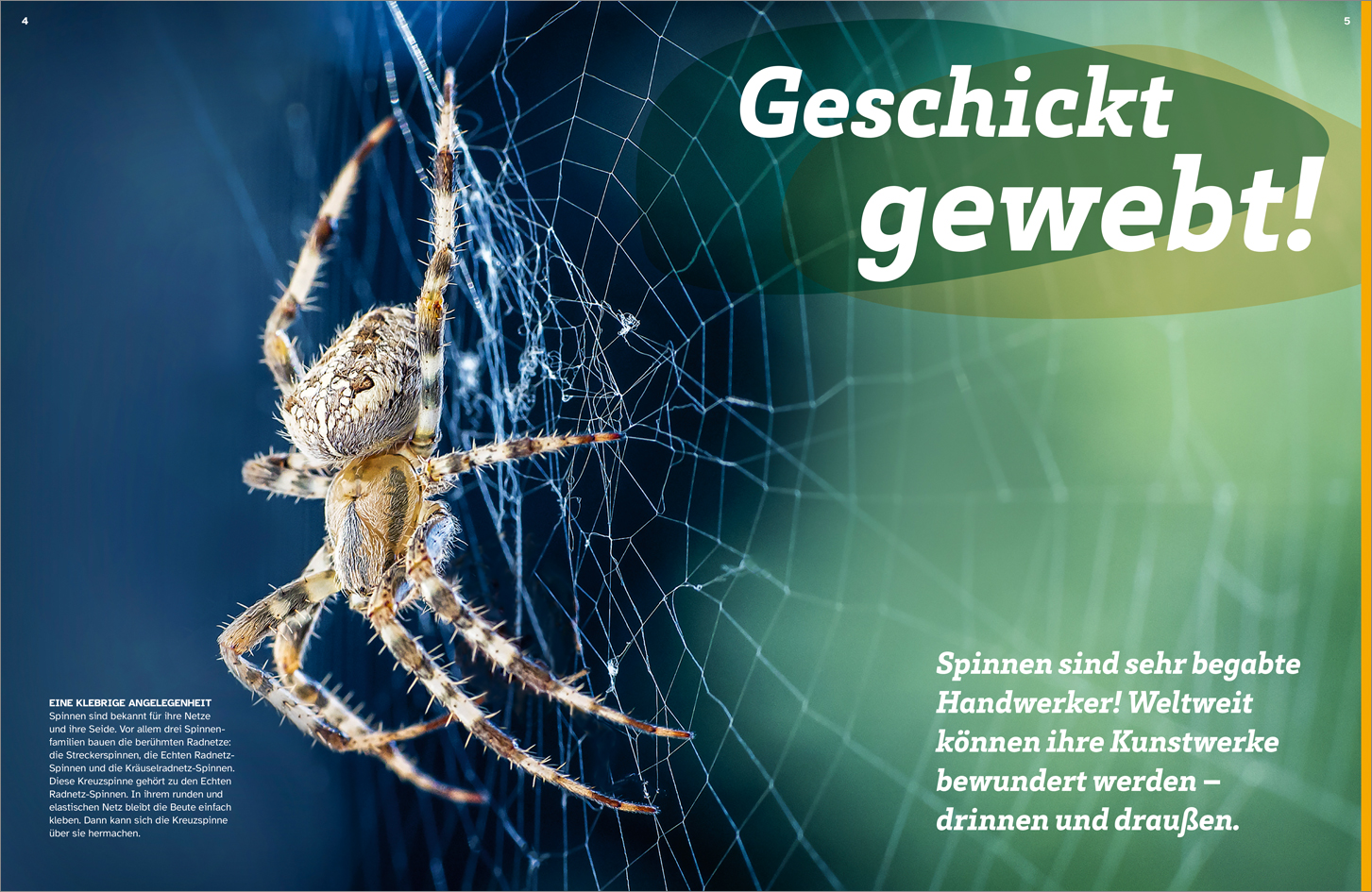 9783788677060_innenansicht_03.jpg