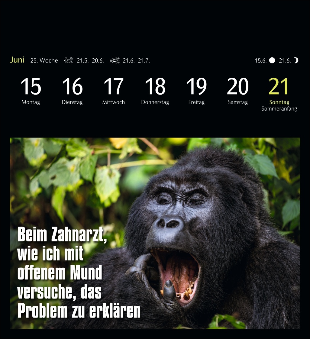 9783840037467_innenansicht_06.jpg