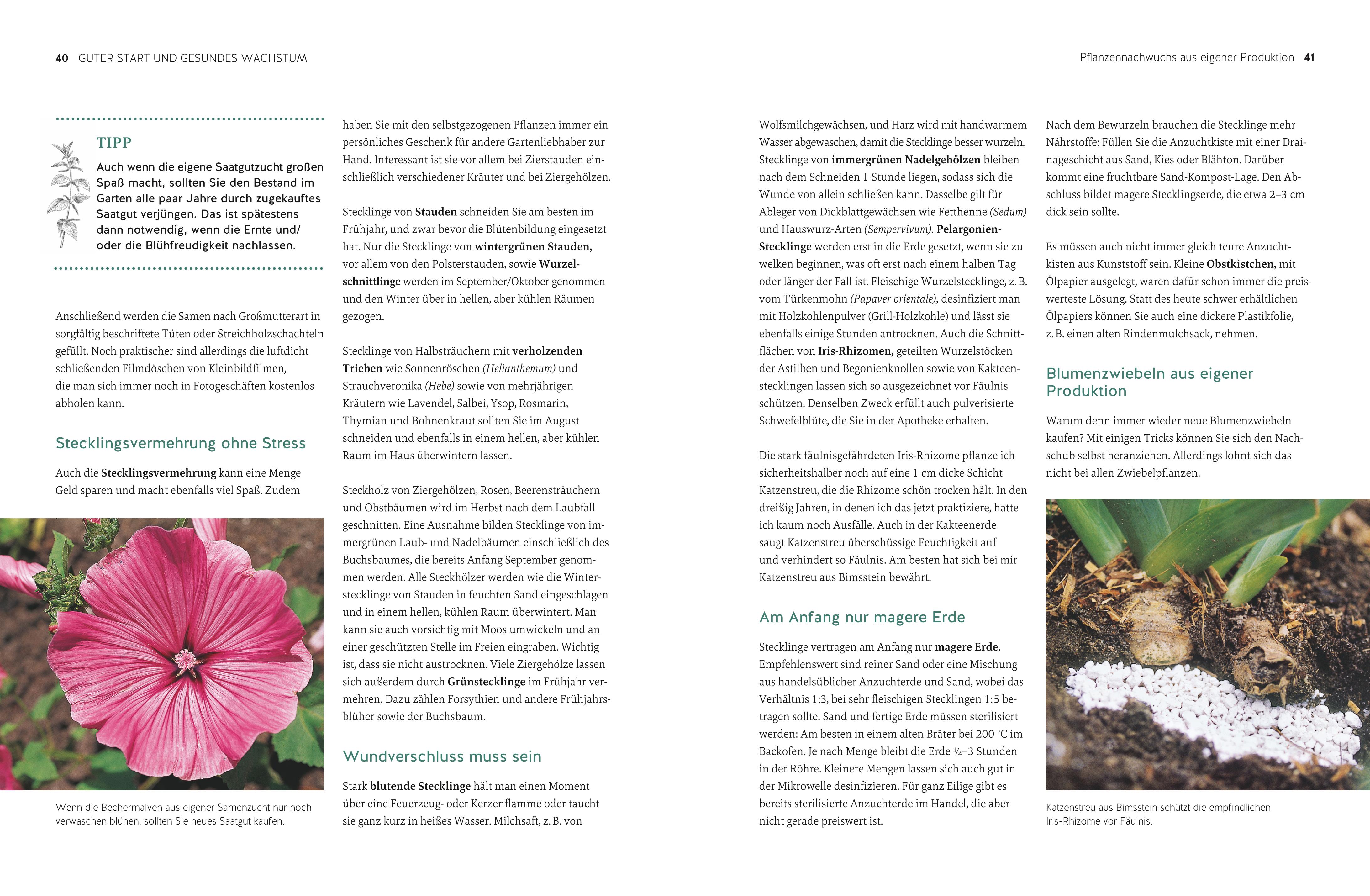 9783833896910_innenansicht_04 9783833896910_innenansicht_04.jpg