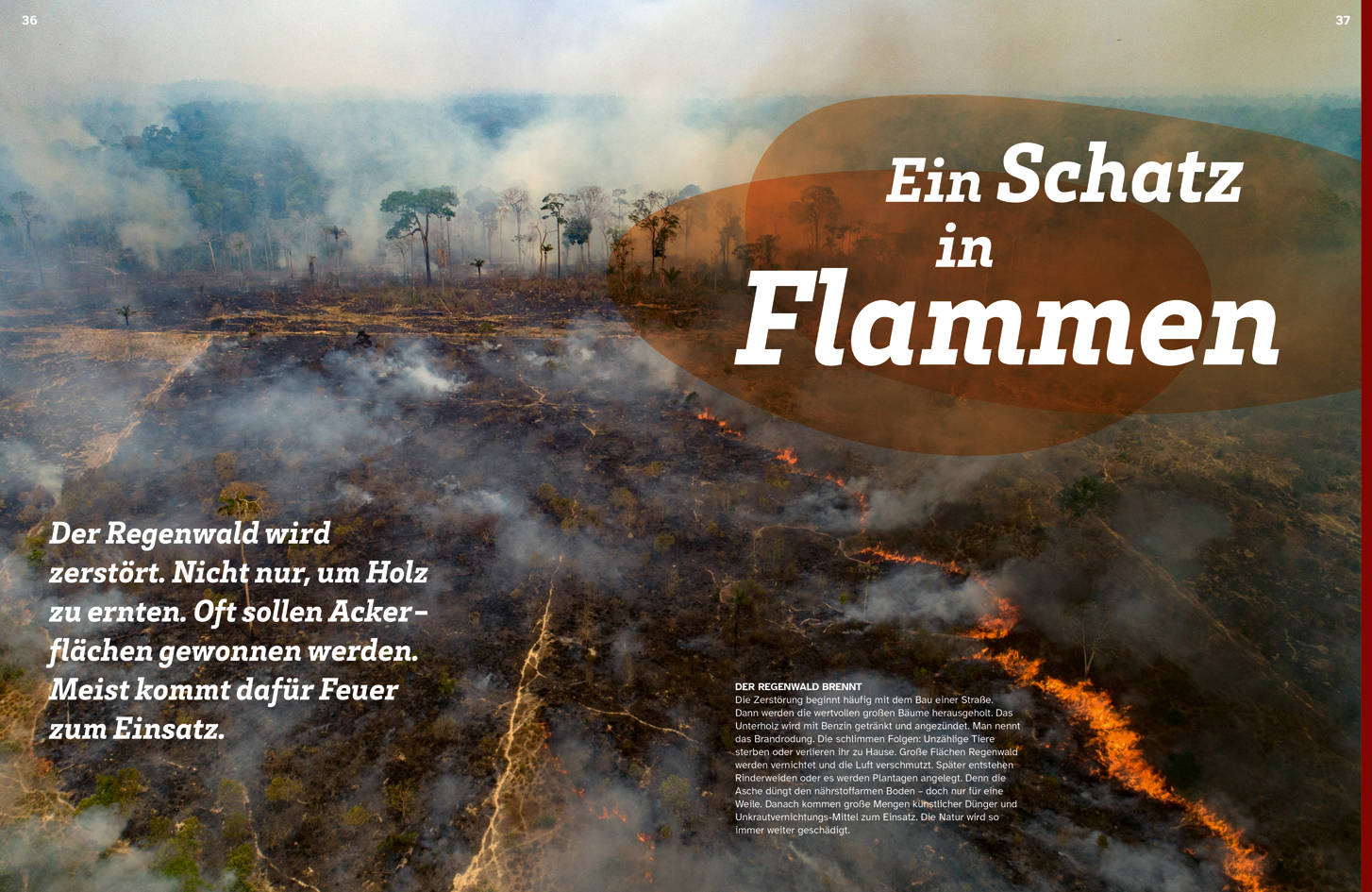 9783788677169_innenansicht_03 9783788677169_innenansicht_03.jpg