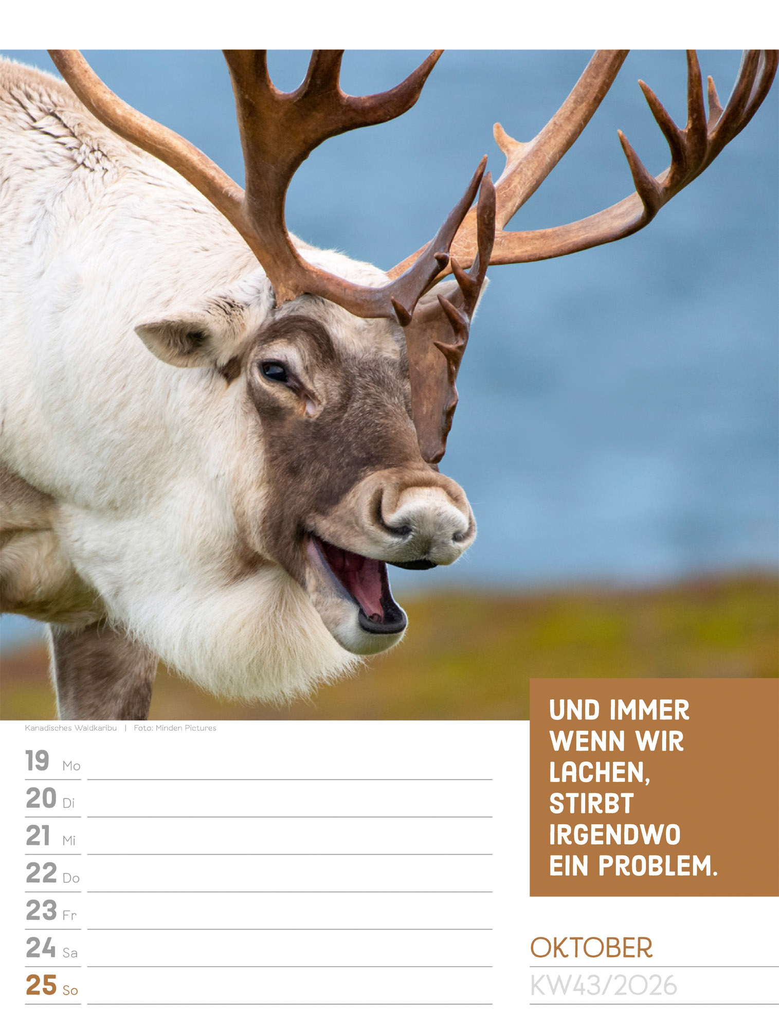 9783838426969_innenansicht_46 9783838426969_innenansicht_46.jpg