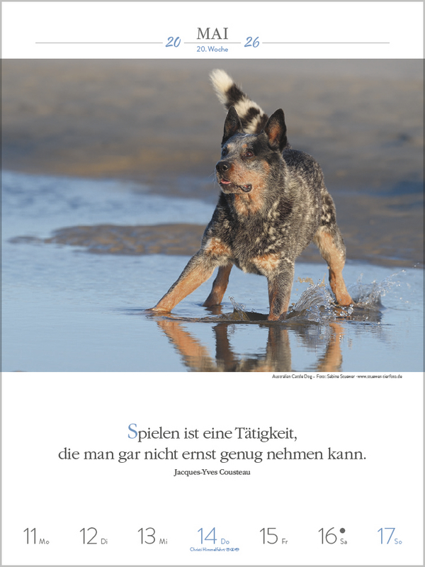 9783731884392_innenansicht_04.jpg