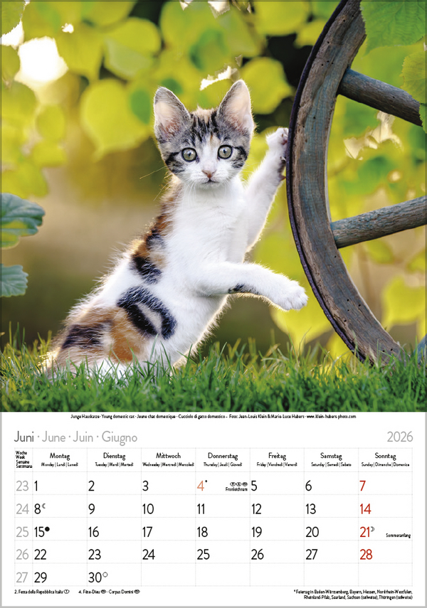 9783731883609_innenansicht_06 9783731883609_innenansicht_06.jpg