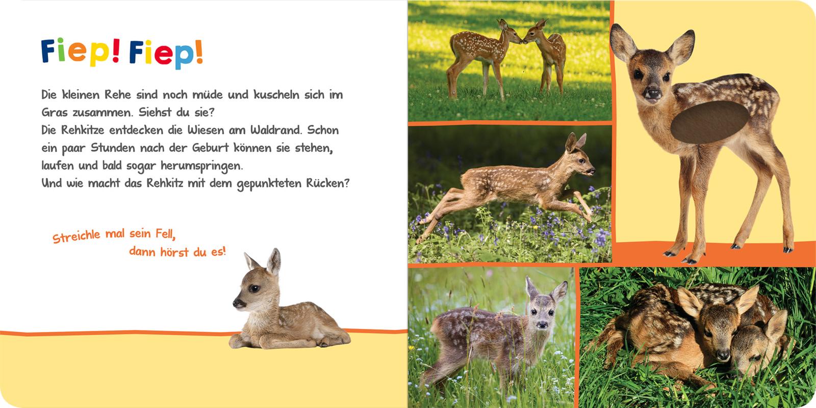 9783845842905_innenansicht_04.jpg