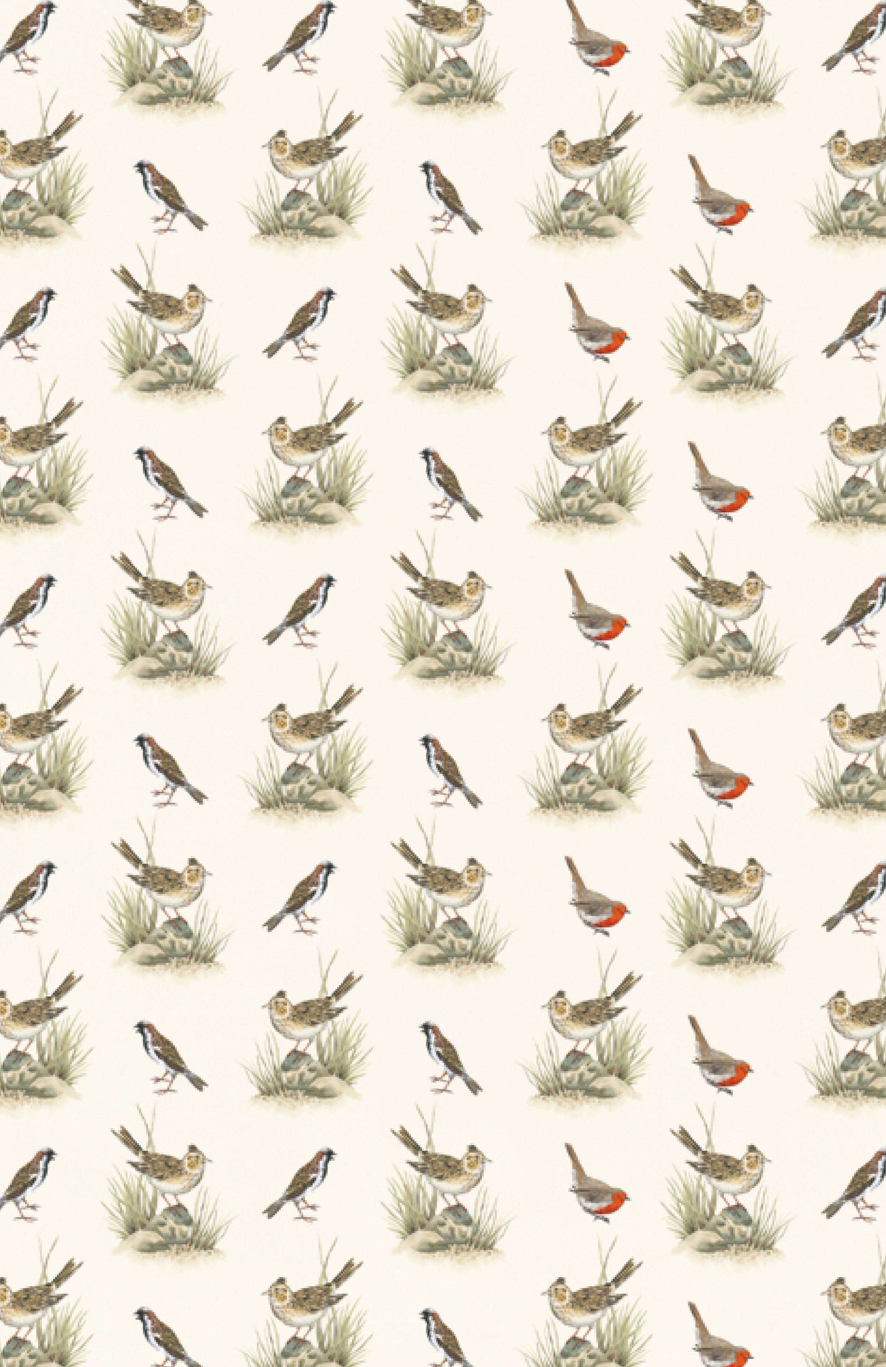 9783458195481_BC 9783458195481_BC.jpg