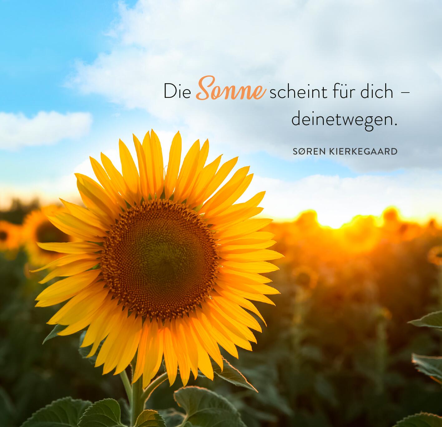 9783845862620_innenansicht_02.jpg