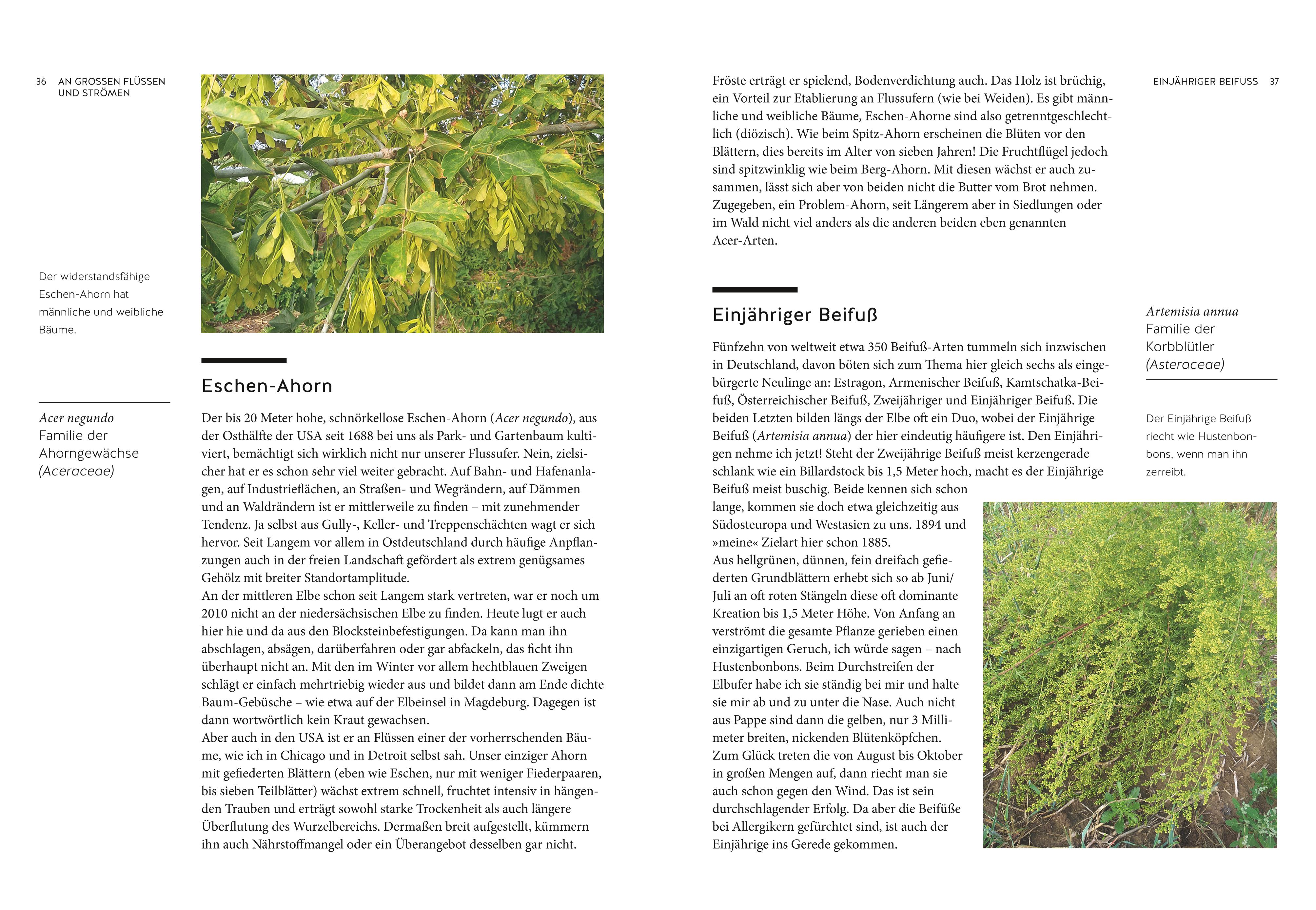 9783833880292_innenansicht_08 9783833880292_innenansicht_08.jpg