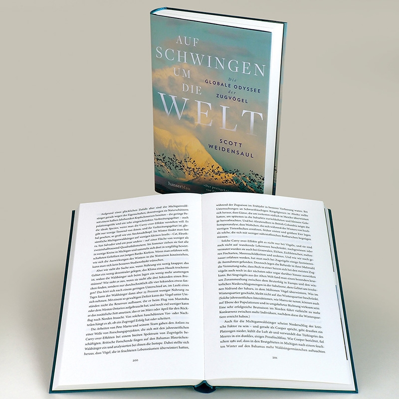 9783446273122_innenansicht_05 9783446273122_innenansicht_05.jpg