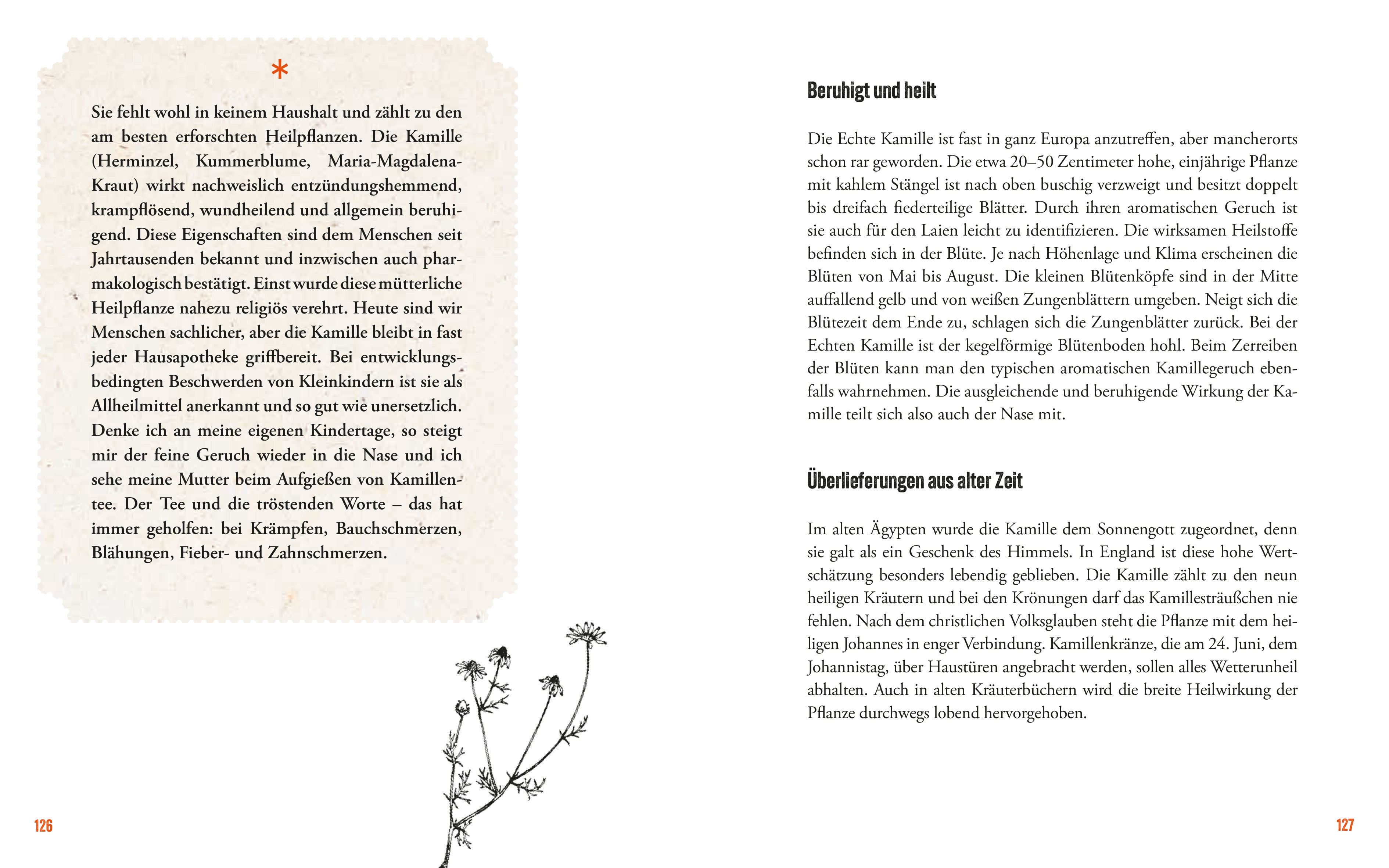 9783702511043_innenansicht_06 9783702511043_innenansicht_06.jpg