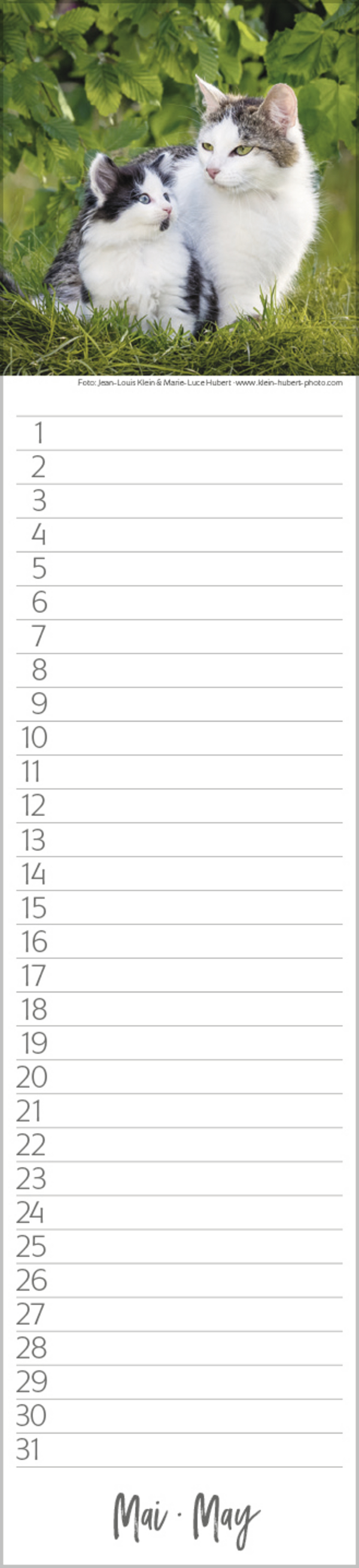 9783731887638_innenansicht_05 9783731887638_innenansicht_05.jpg