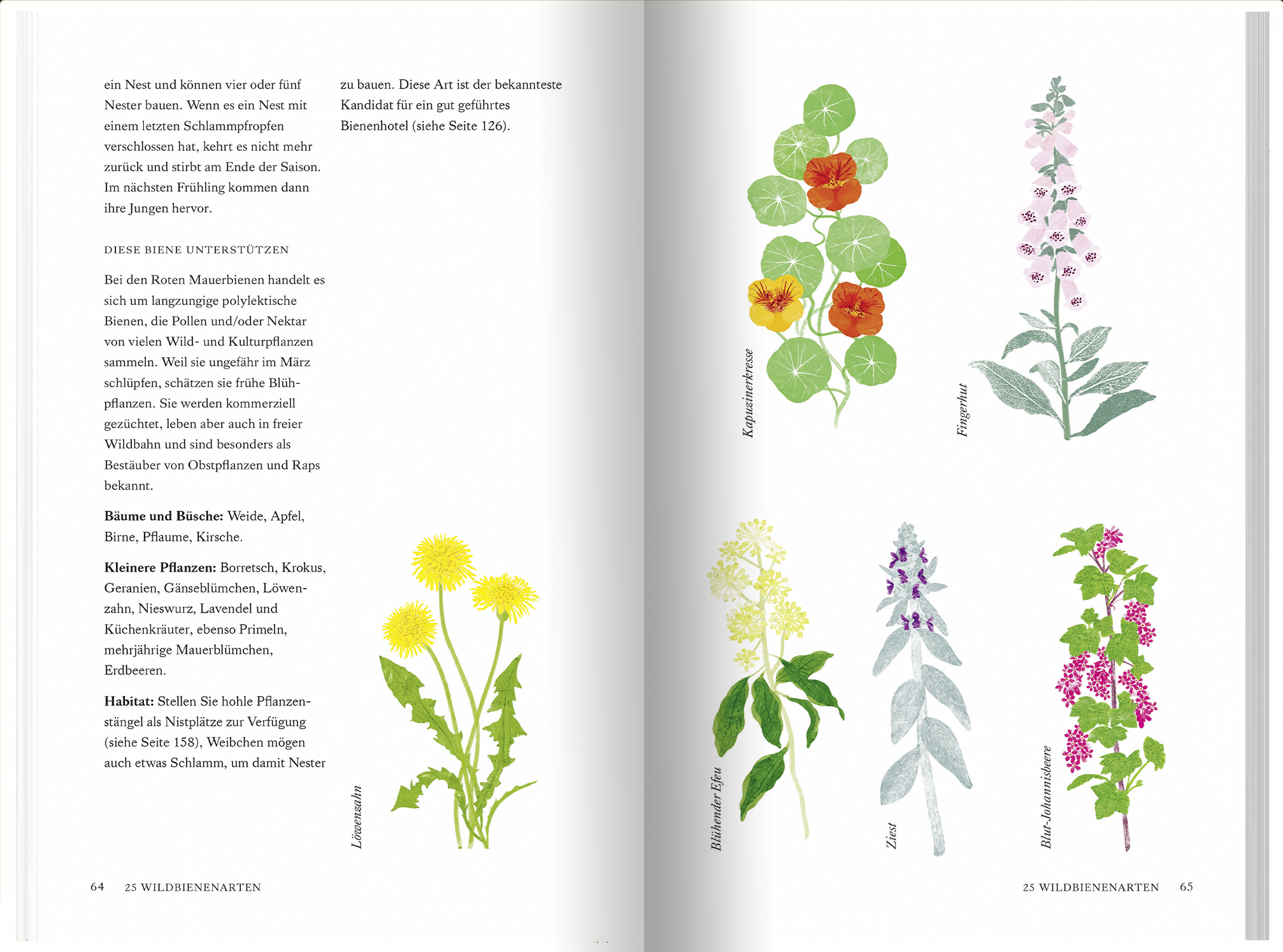 9783784357935_innenansicht_05 9783784357935_innenansicht_05.jpg