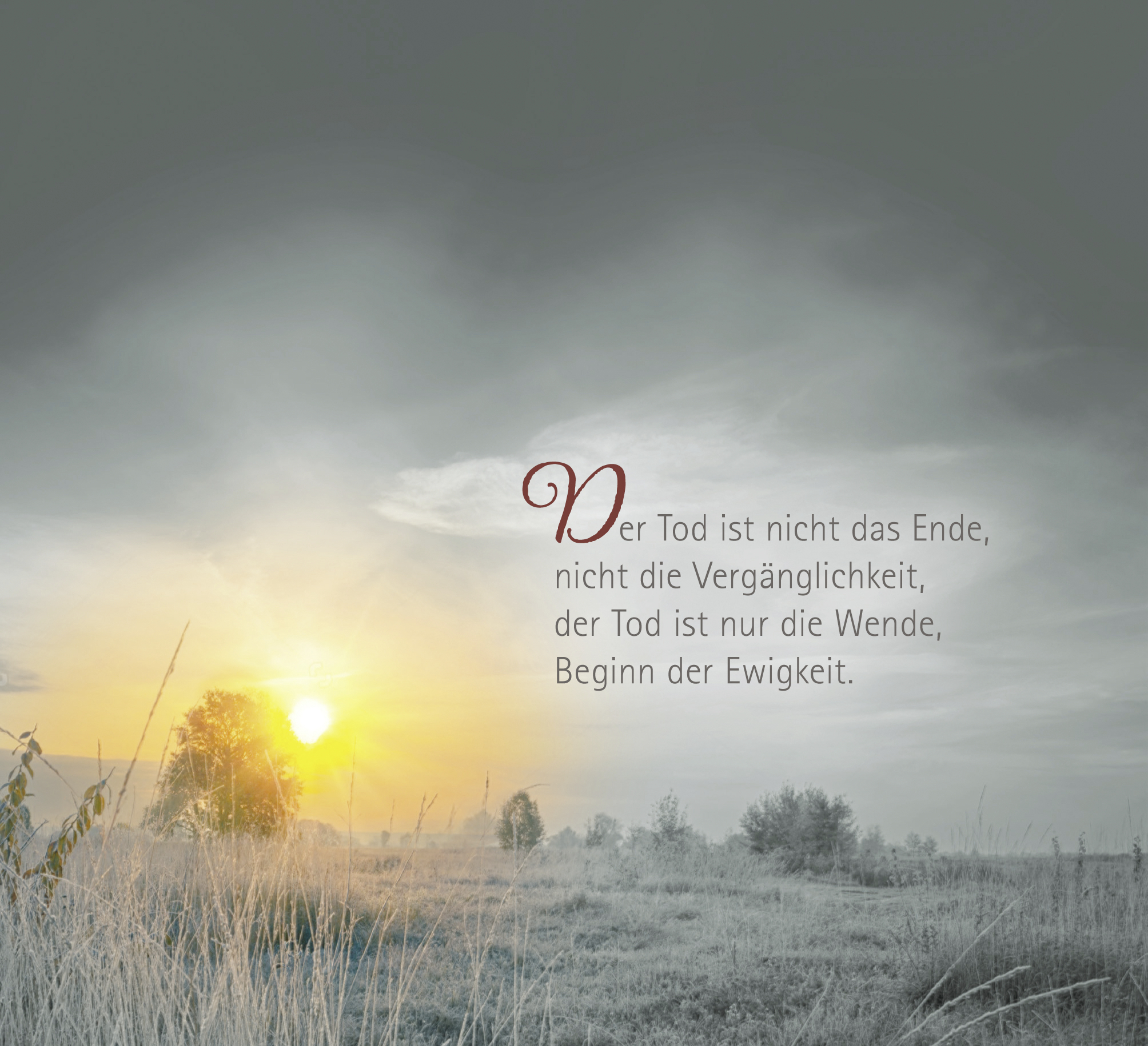 9783629009494_innenansicht_01 9783629009494_innenansicht_01.jpg