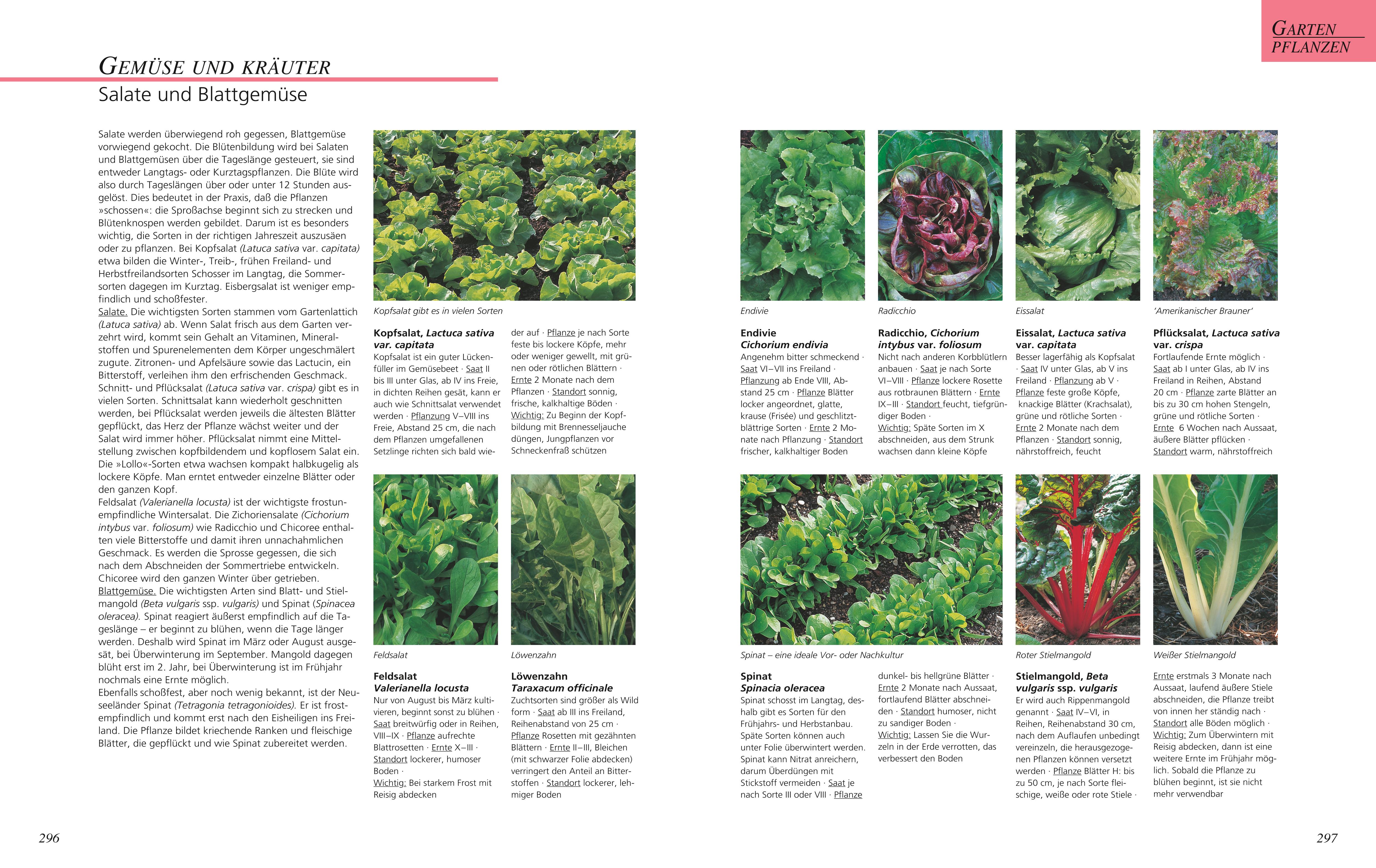 9783833853920_innenansicht_06 9783833853920_innenansicht_06.jpg