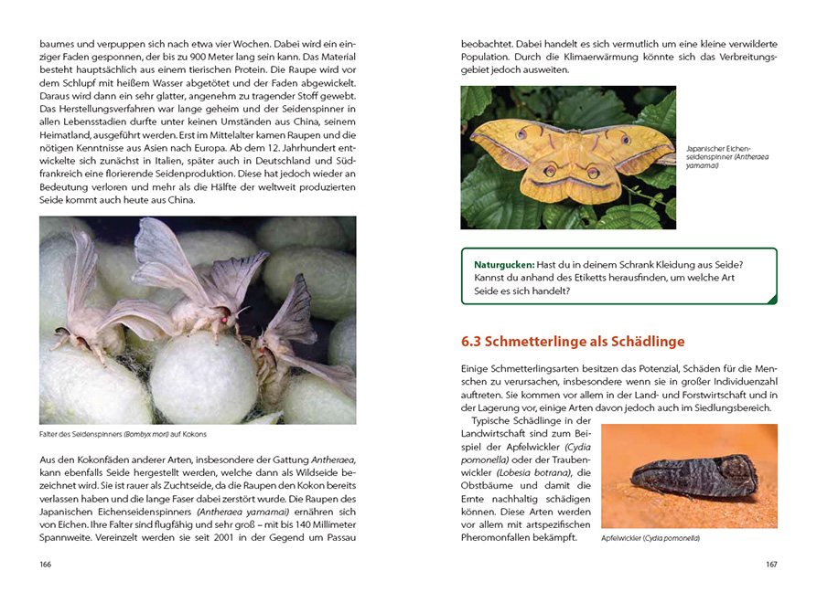 9783258083582_innenansicht_04 9783258083582_innenansicht_04.jpg