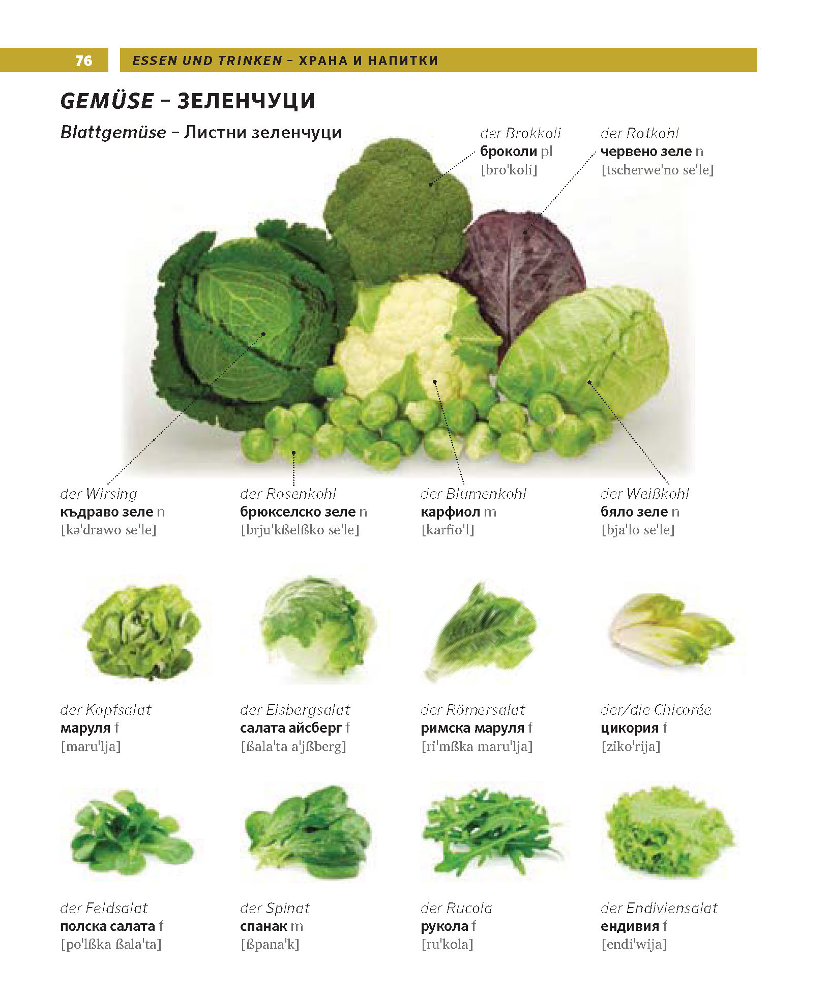 9783125161931_innenansicht_01 9783125161931_innenansicht_01.jpg