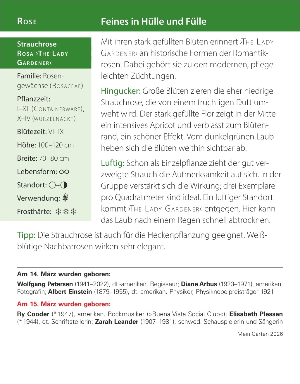 9783840035500_innenansicht_12.jpg