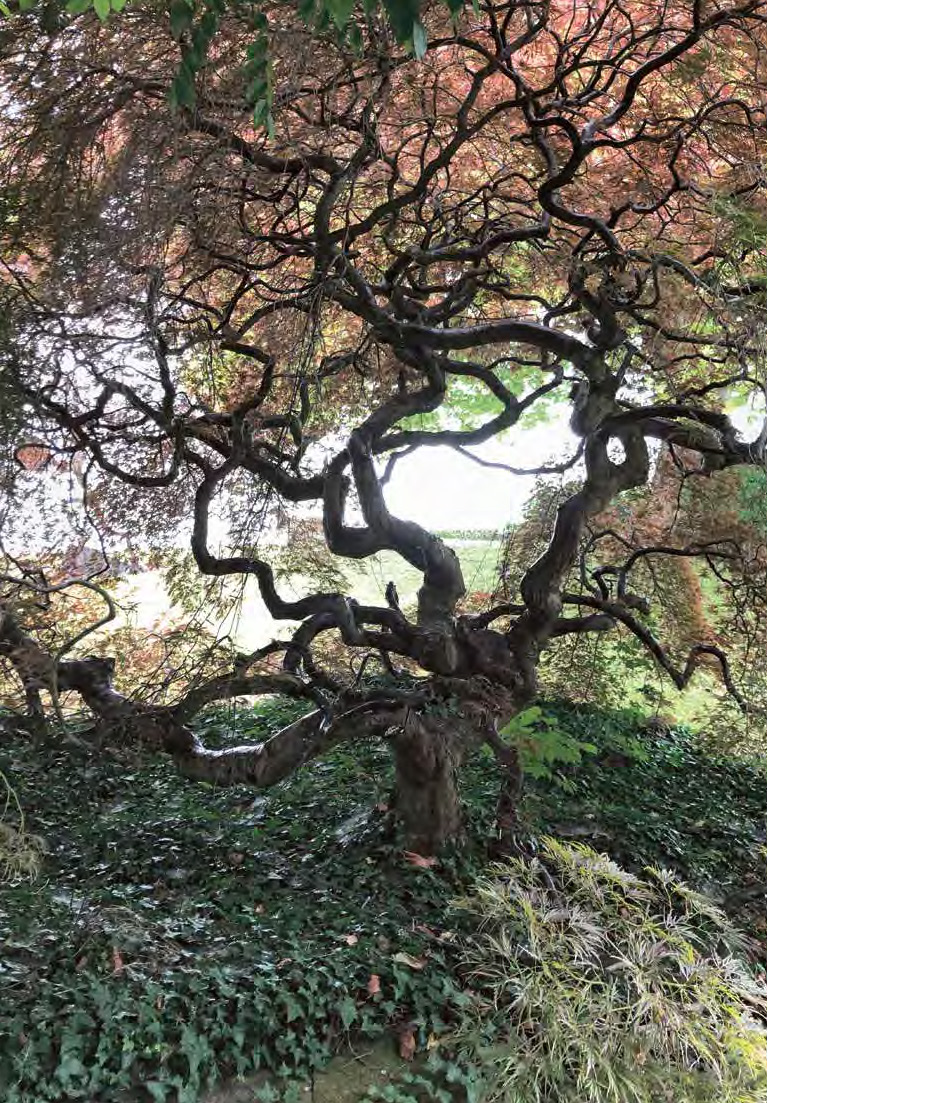 9783035626452_innenansicht_02 9783035626452_innenansicht_02.jpg