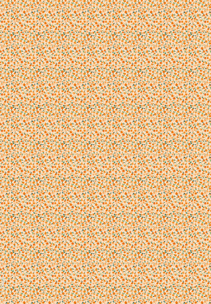 4050003951928_innenansicht_01.jpg
