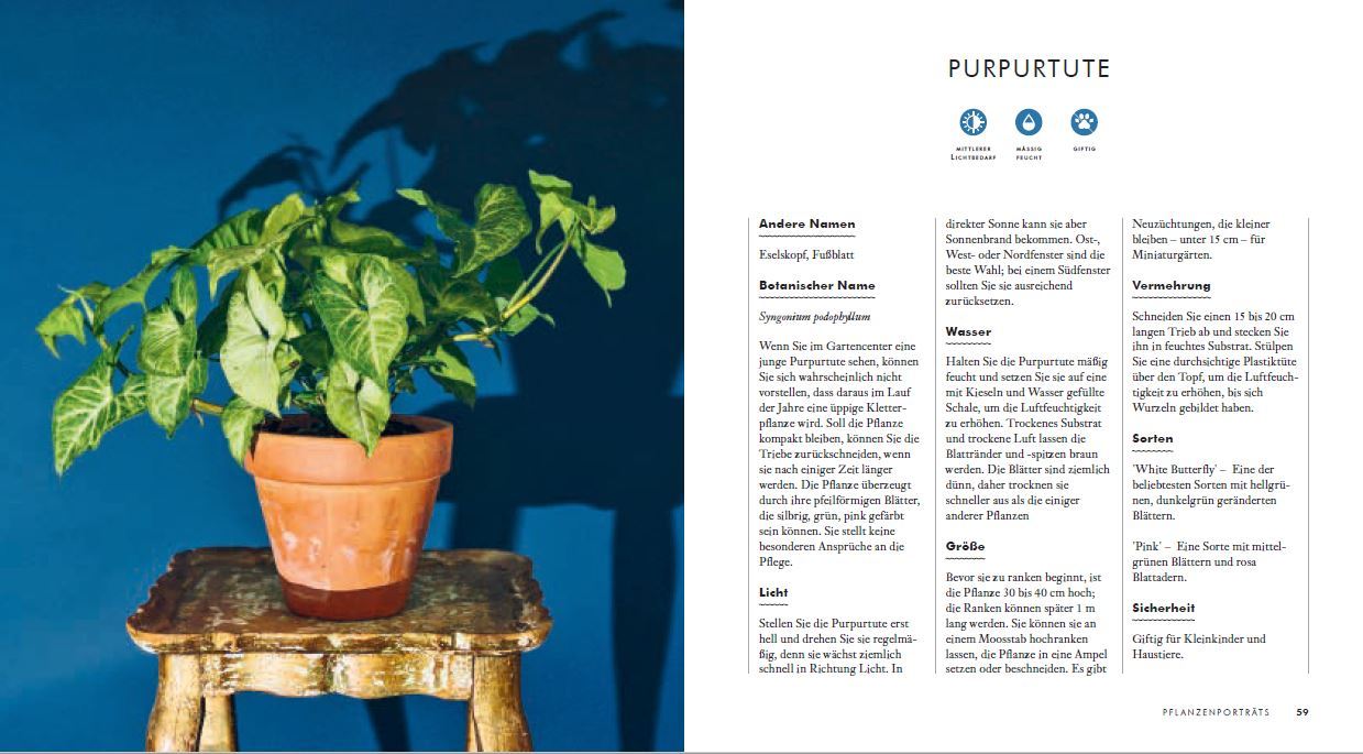 9783809441717_innenansicht_02 9783809441717_innenansicht_02.jpg